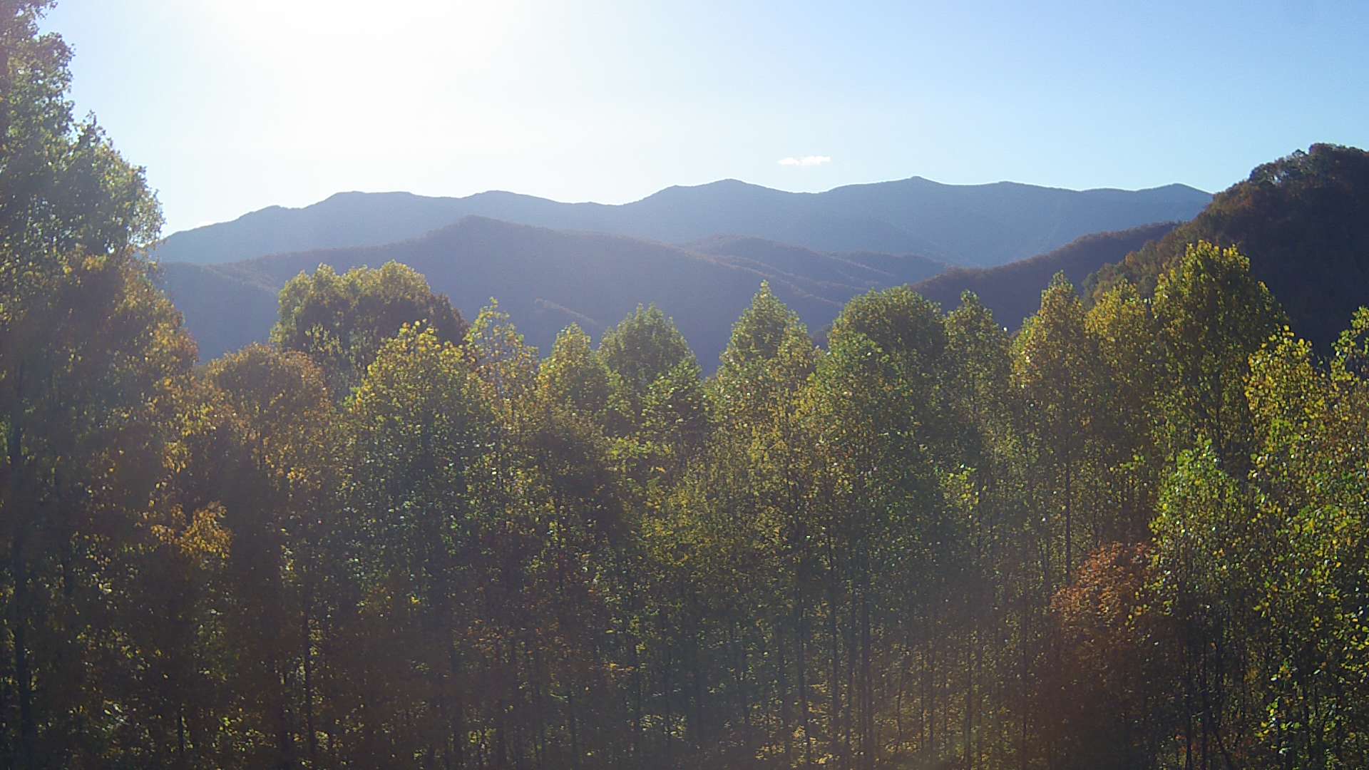 click for next image... slideshow image