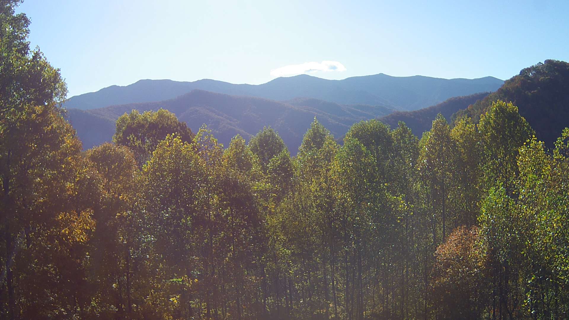 click for next image... slideshow image