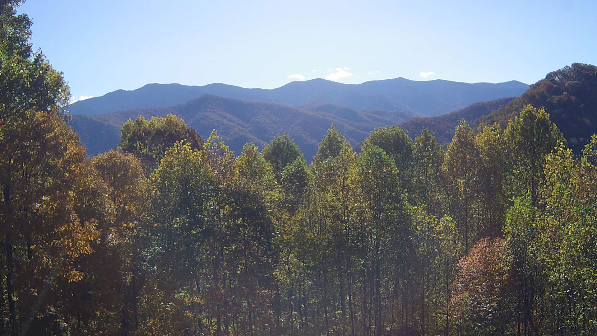 click for next image... slideshow image