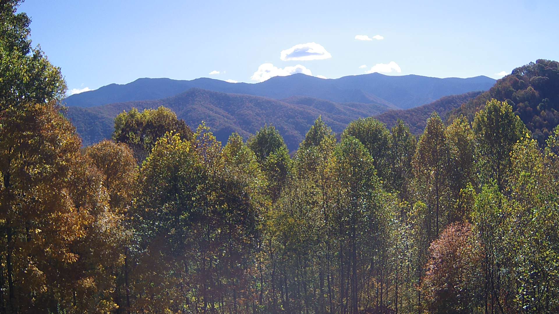 click for next image... slideshow image