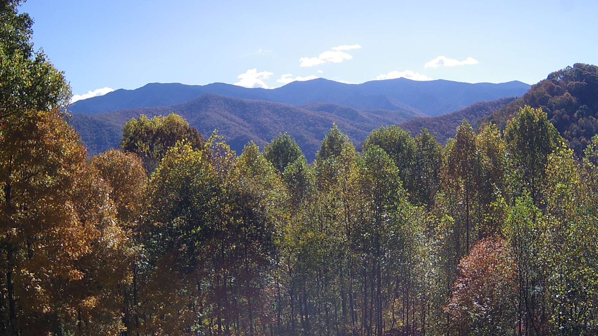 click for next image... slideshow image