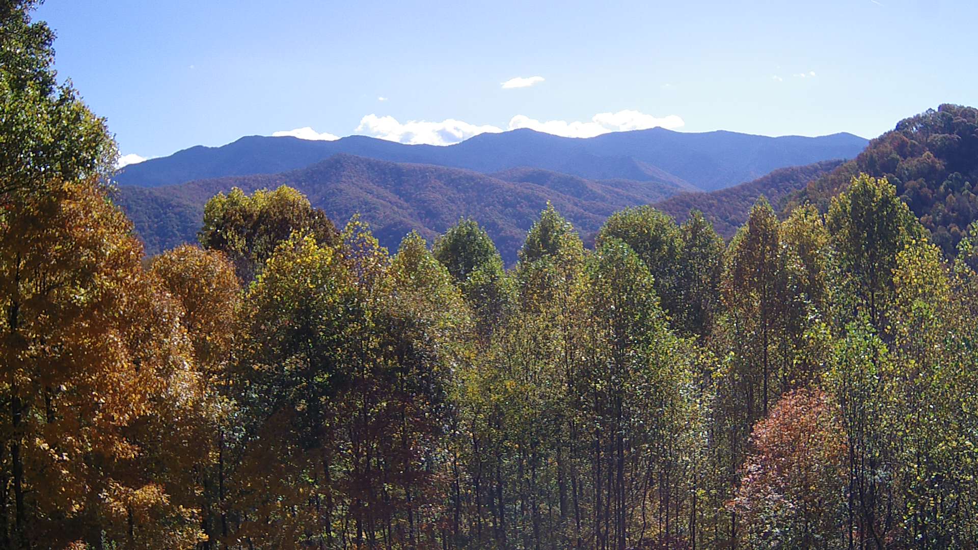 click for next image... slideshow image