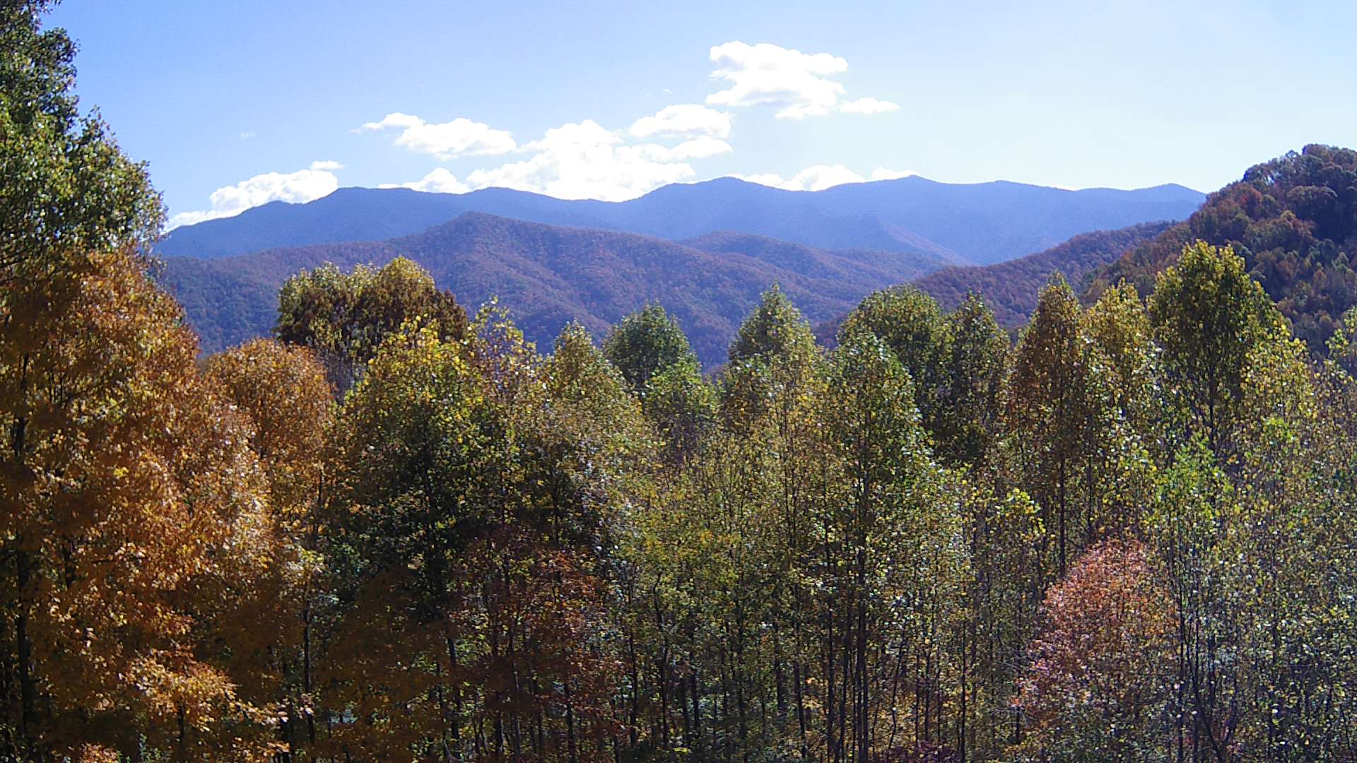 click for next image... slideshow image