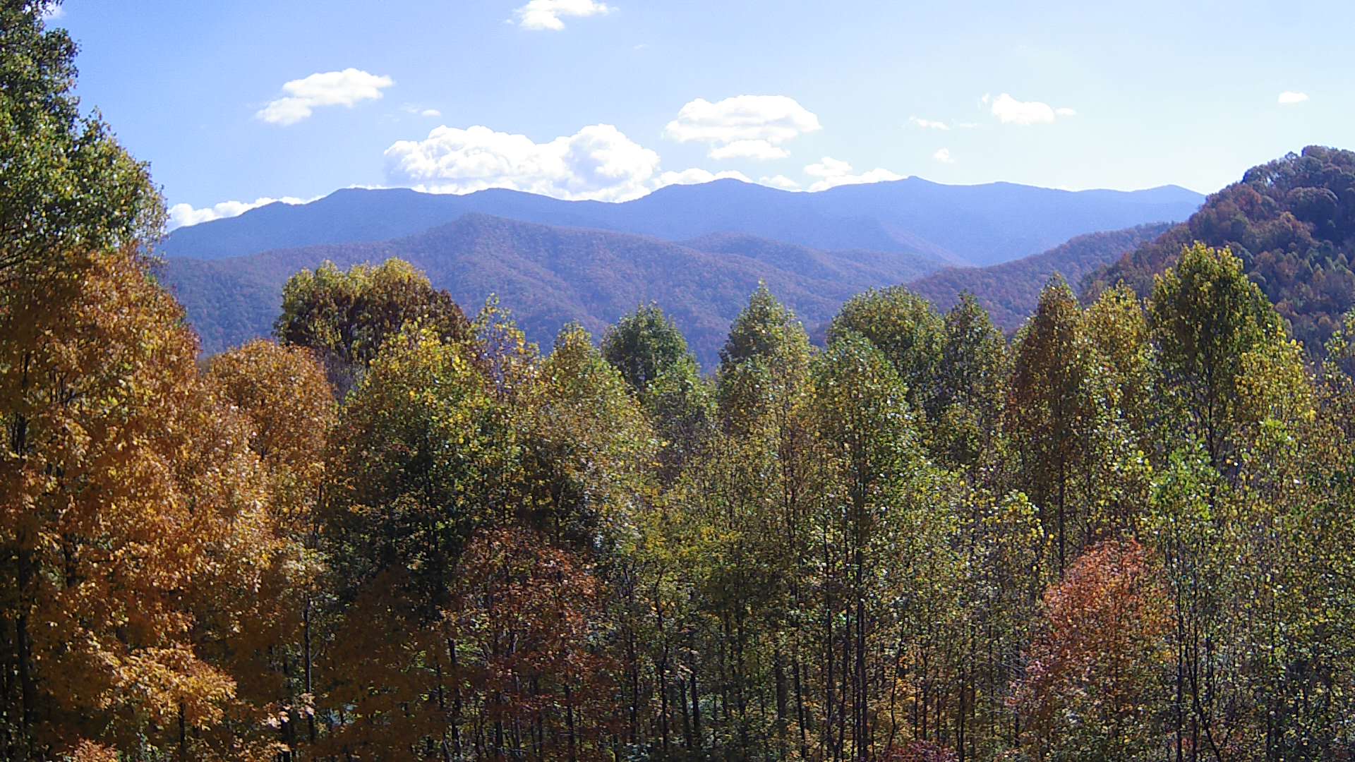 click for next image... slideshow image