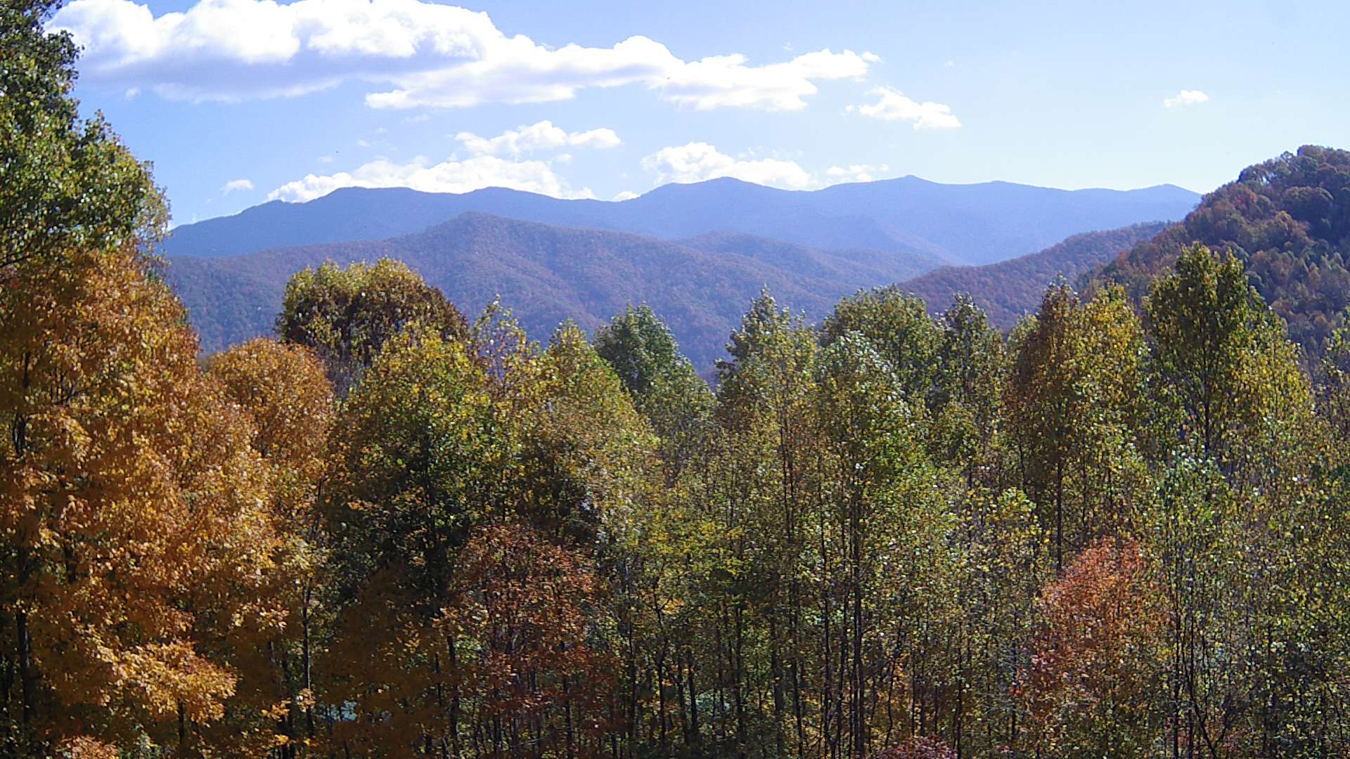 click for next image... slideshow image