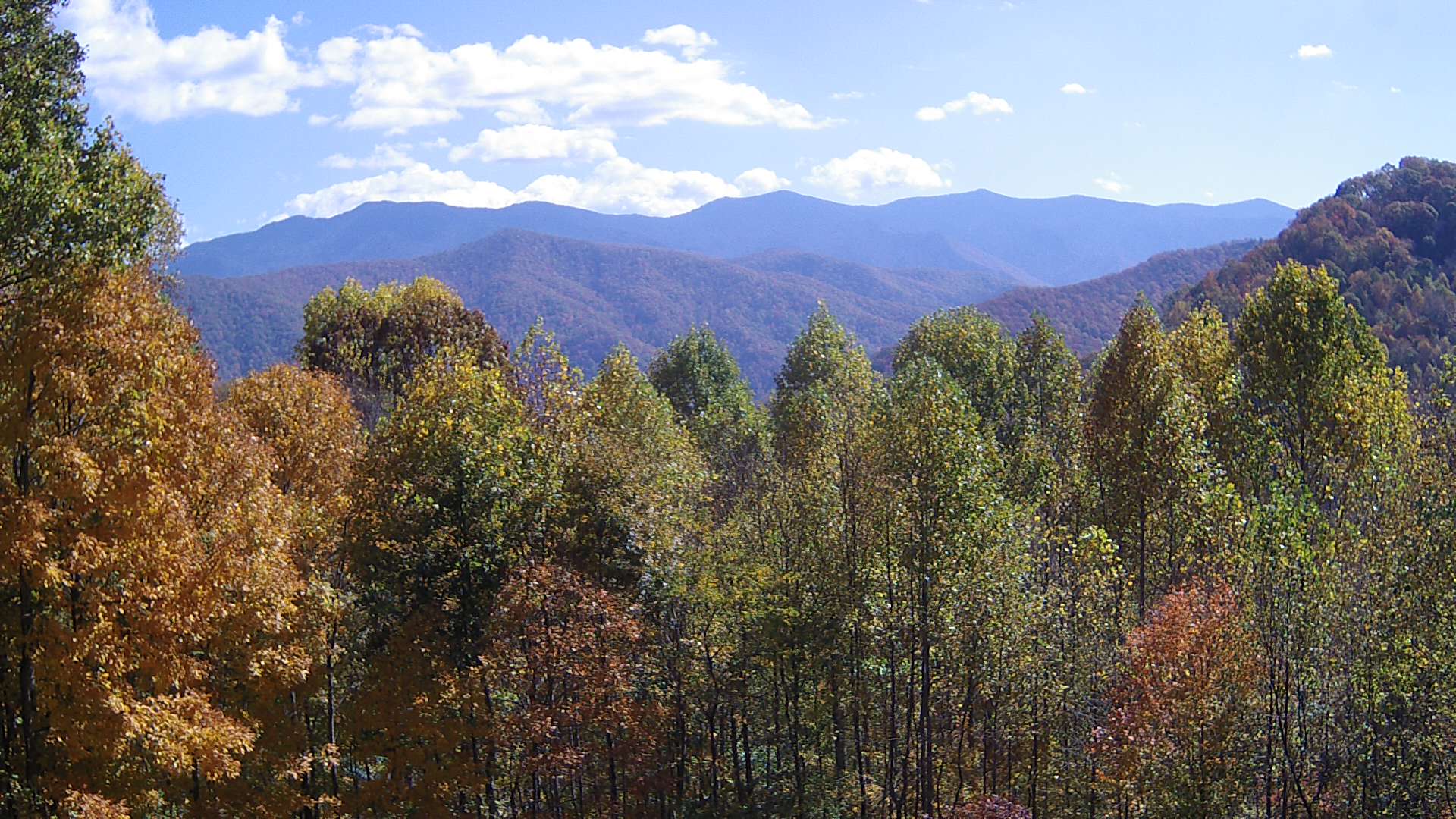 click for next image... slideshow image