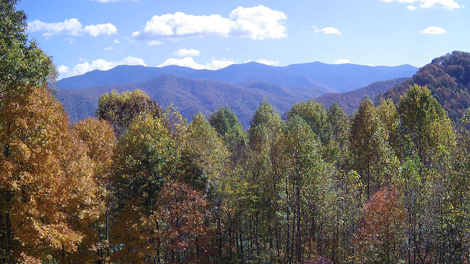 click for next image... slideshow image