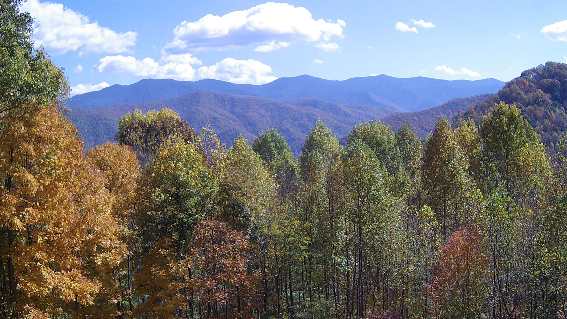 click for next image... slideshow image