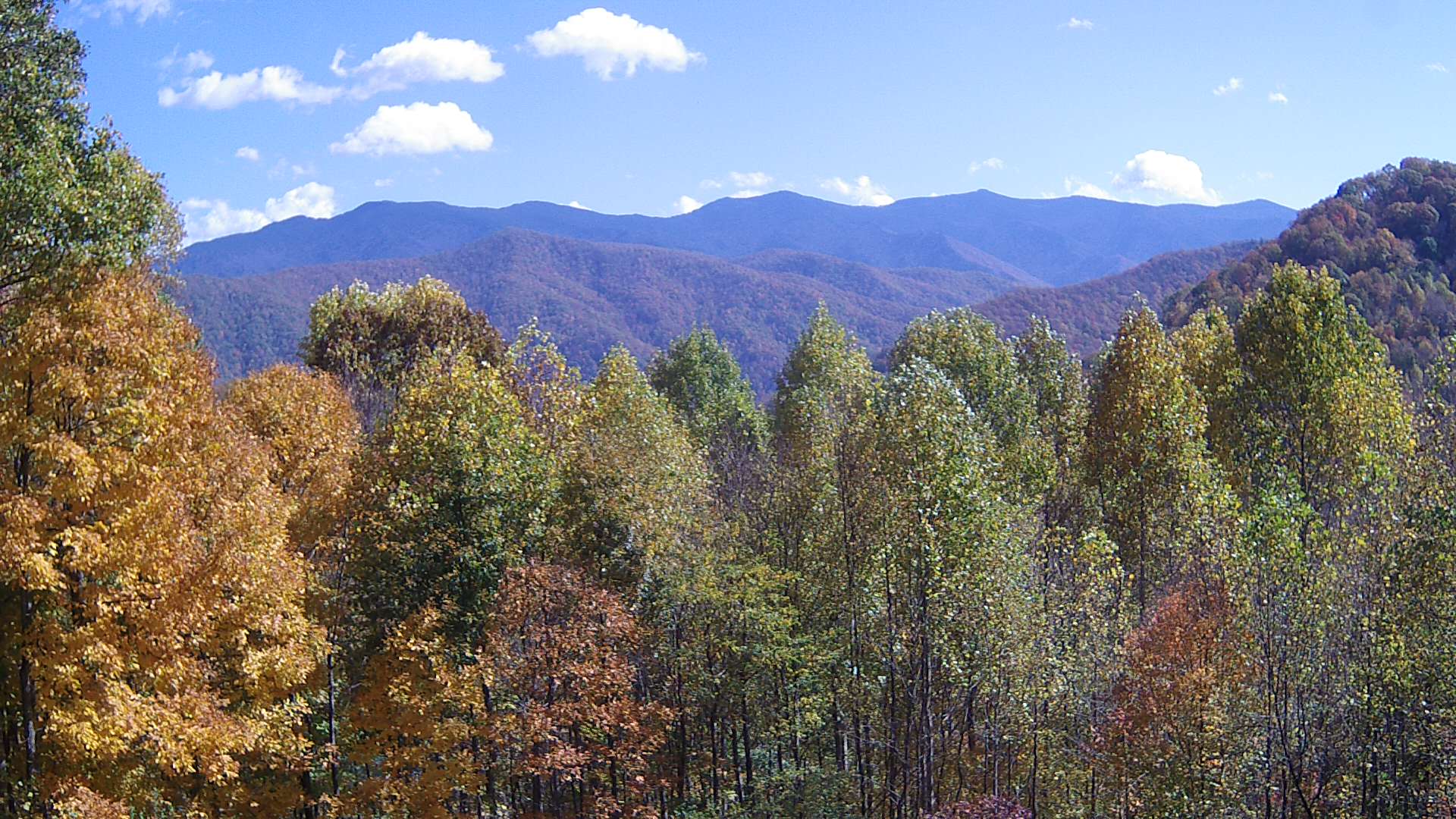 click for next image... slideshow image