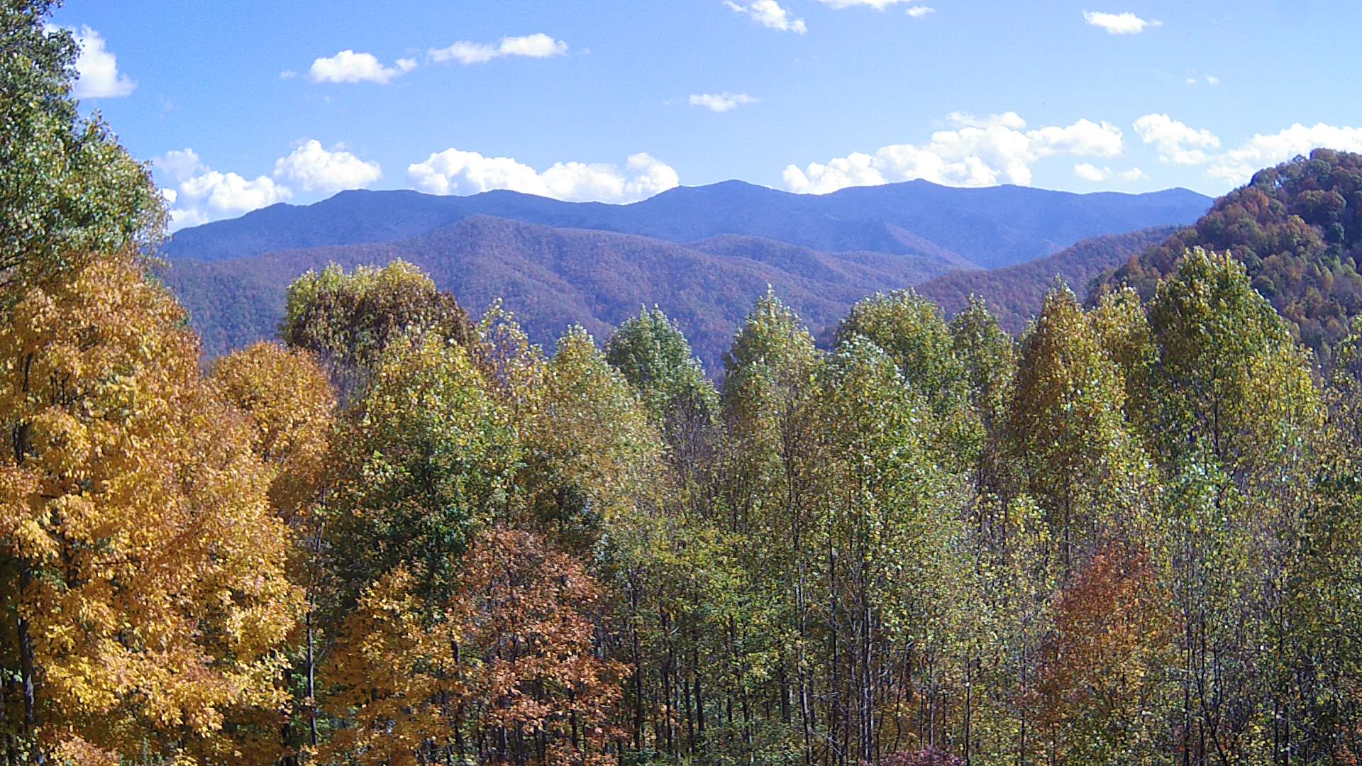 click for next image... slideshow image