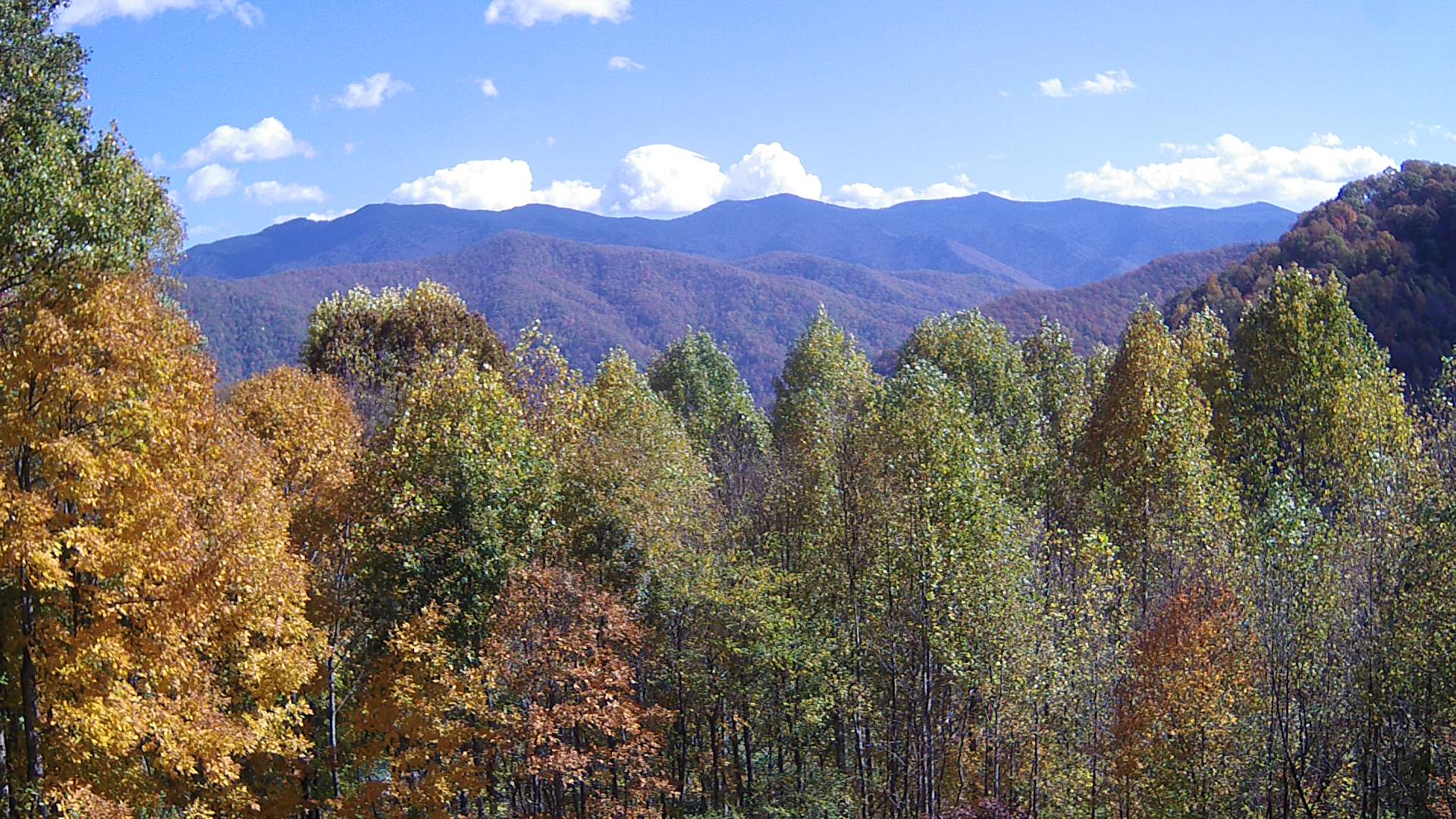 click for next image... slideshow image