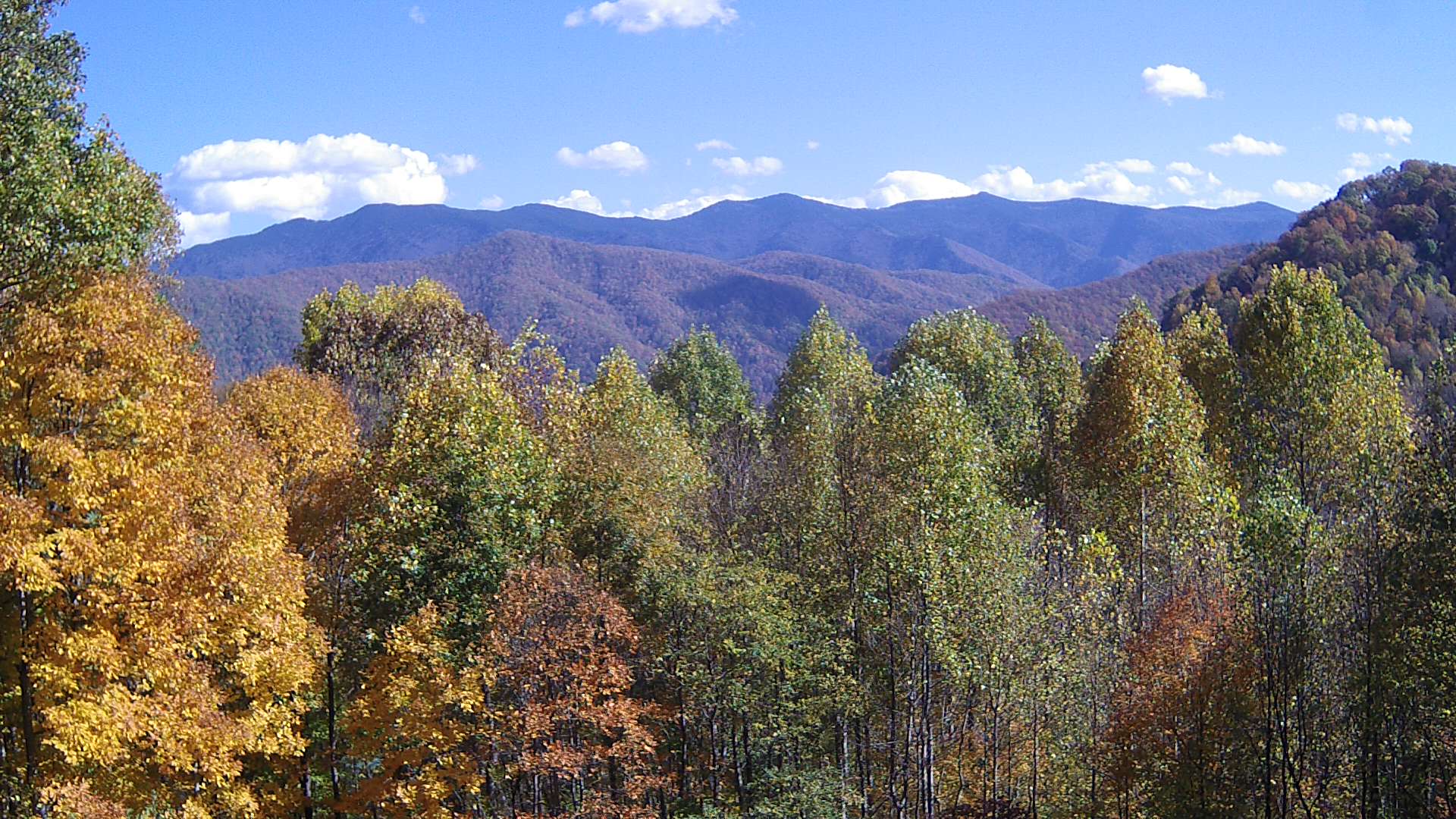 click for next image... slideshow image