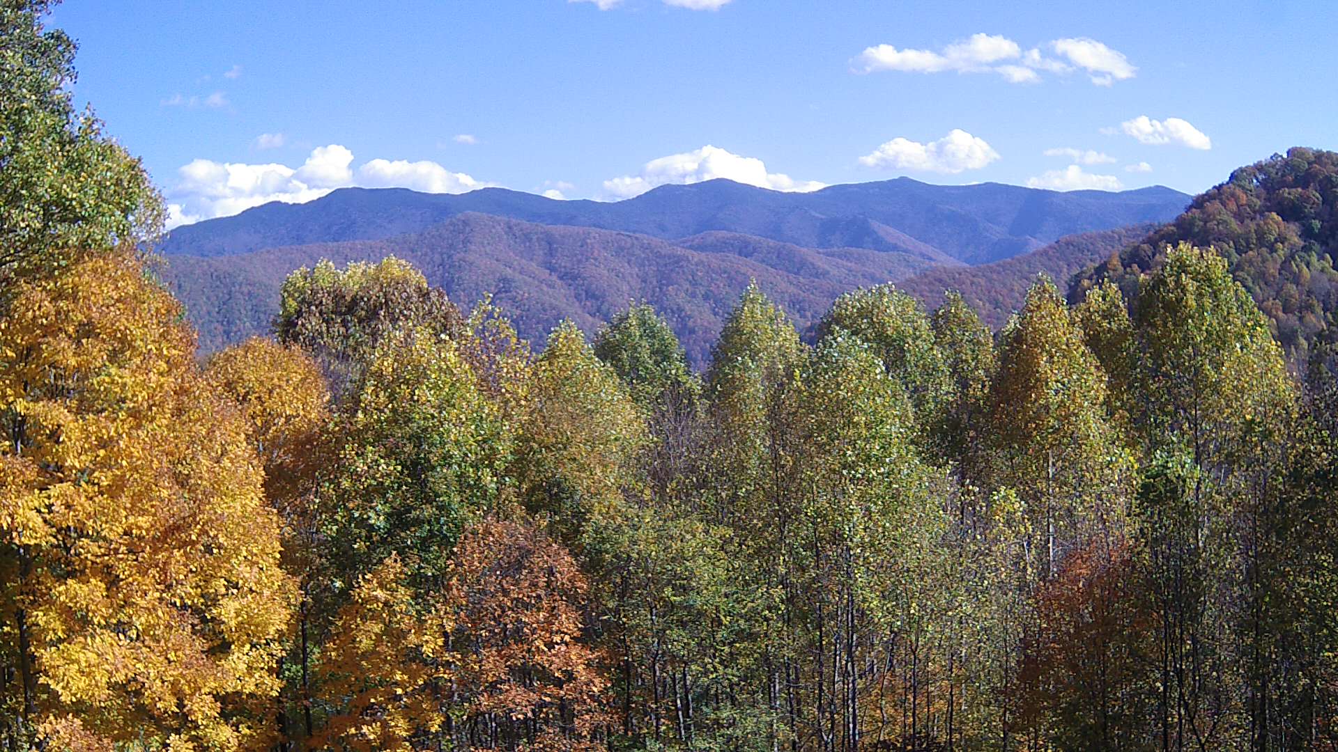 click for next image... slideshow image