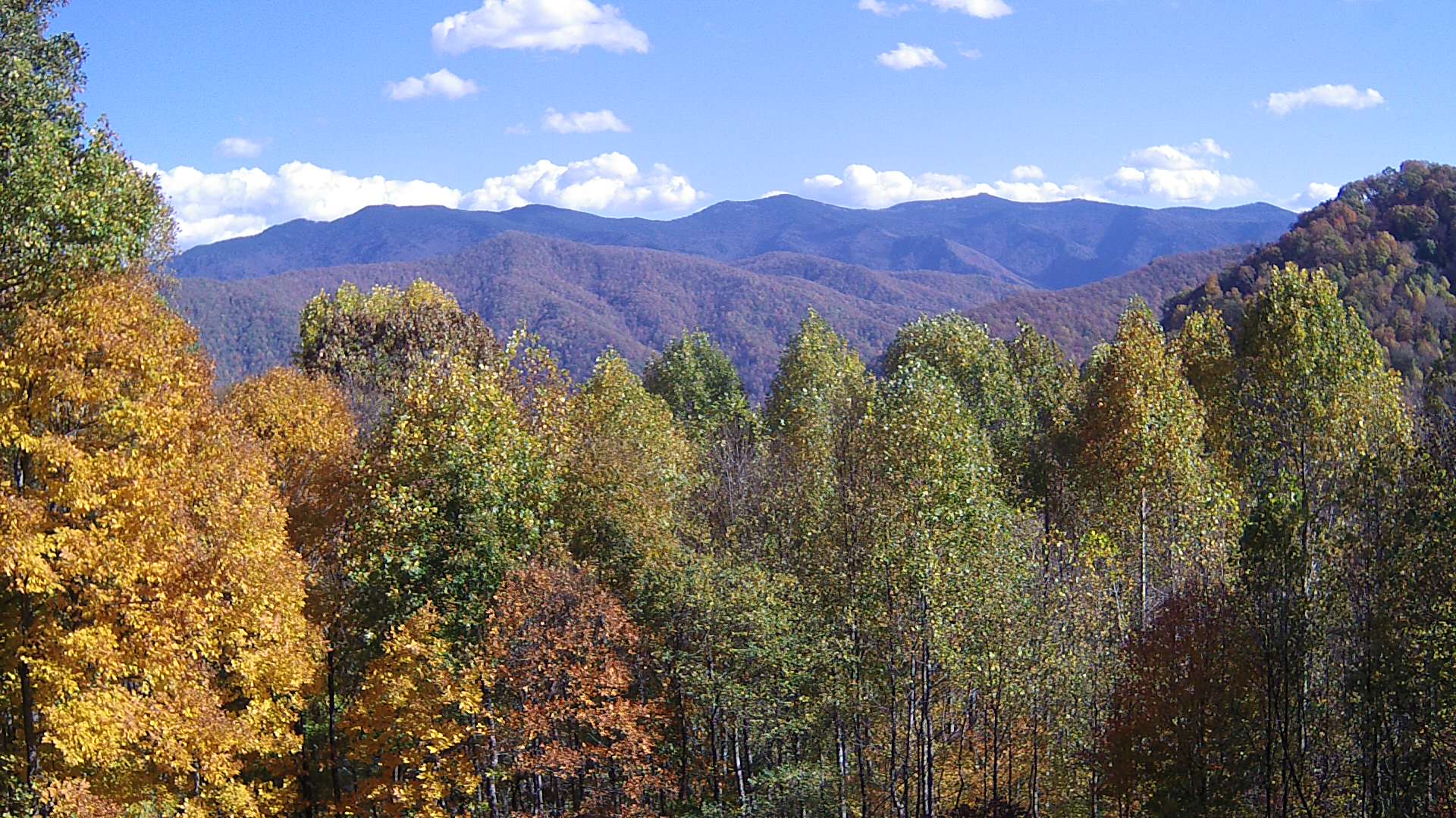 click for next image... slideshow image