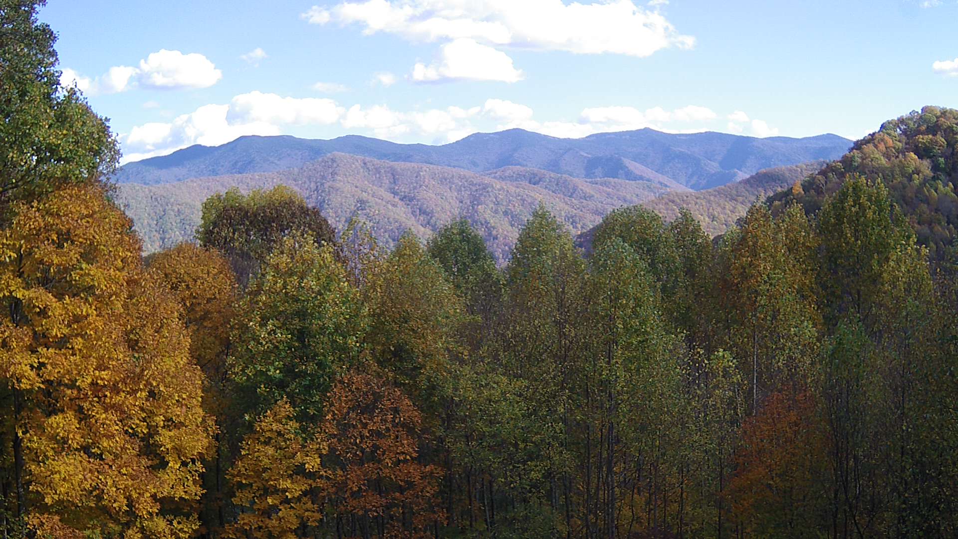 click for next image... slideshow image