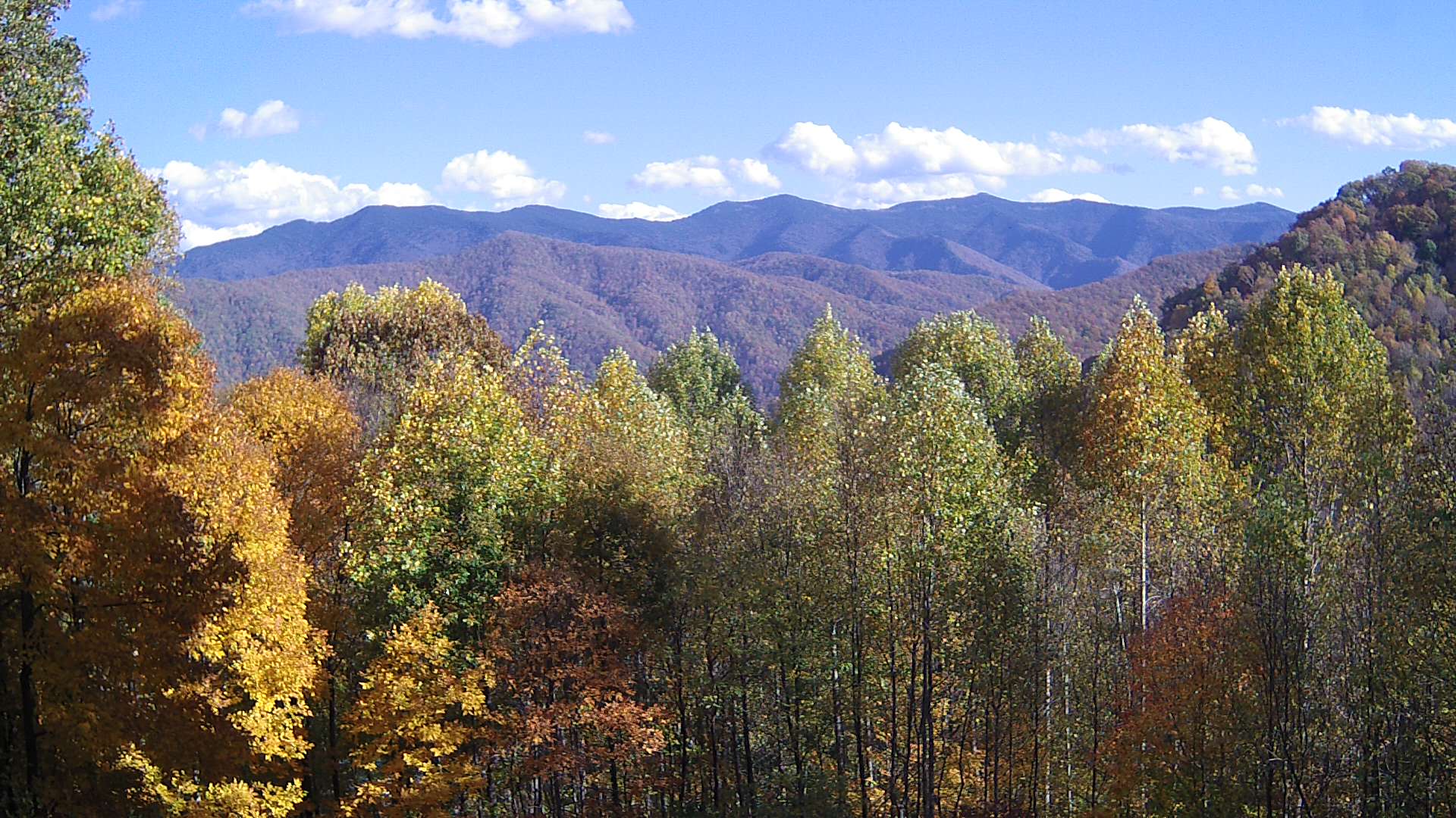 click for next image... slideshow image