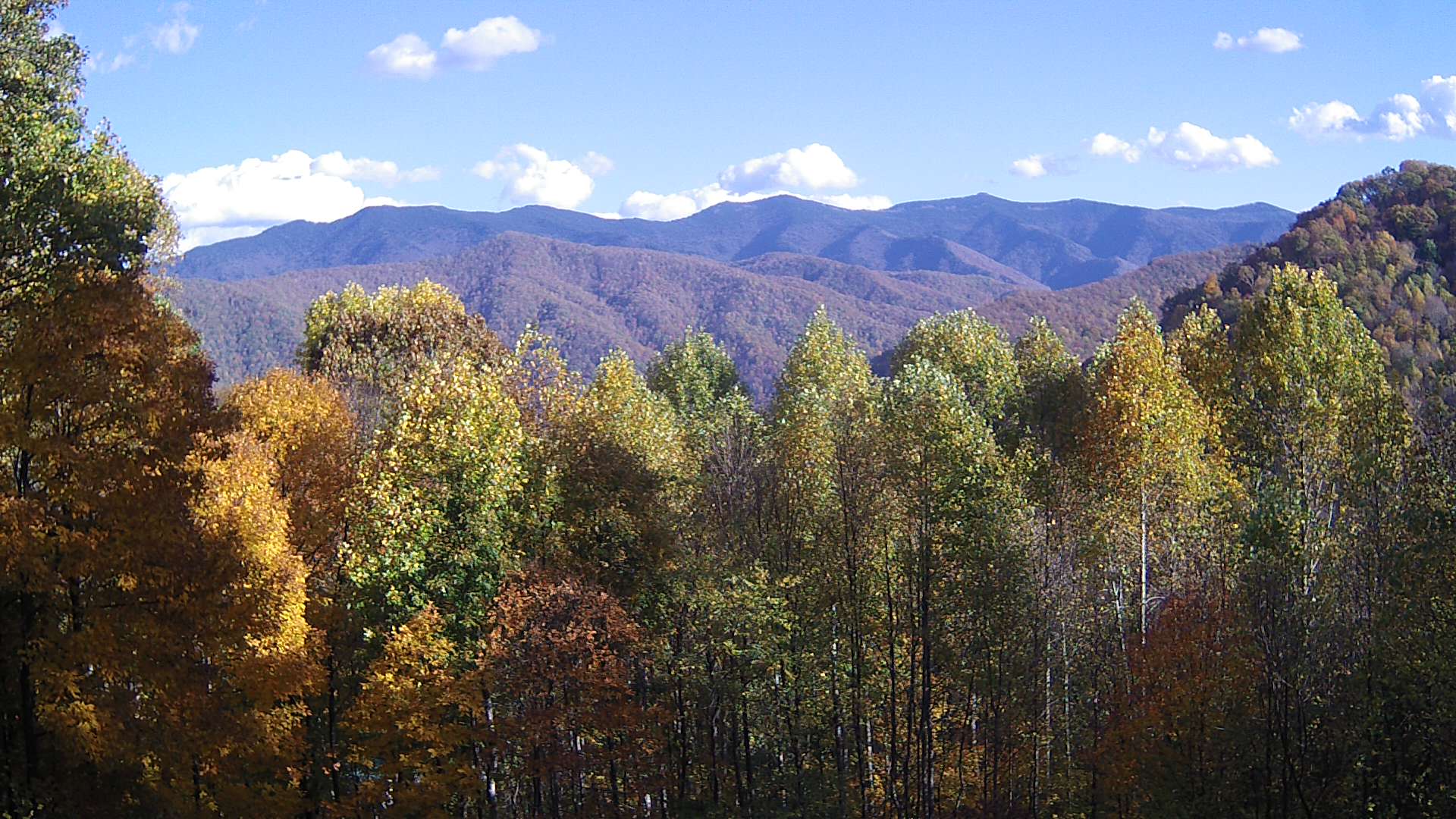 click for next image... slideshow image