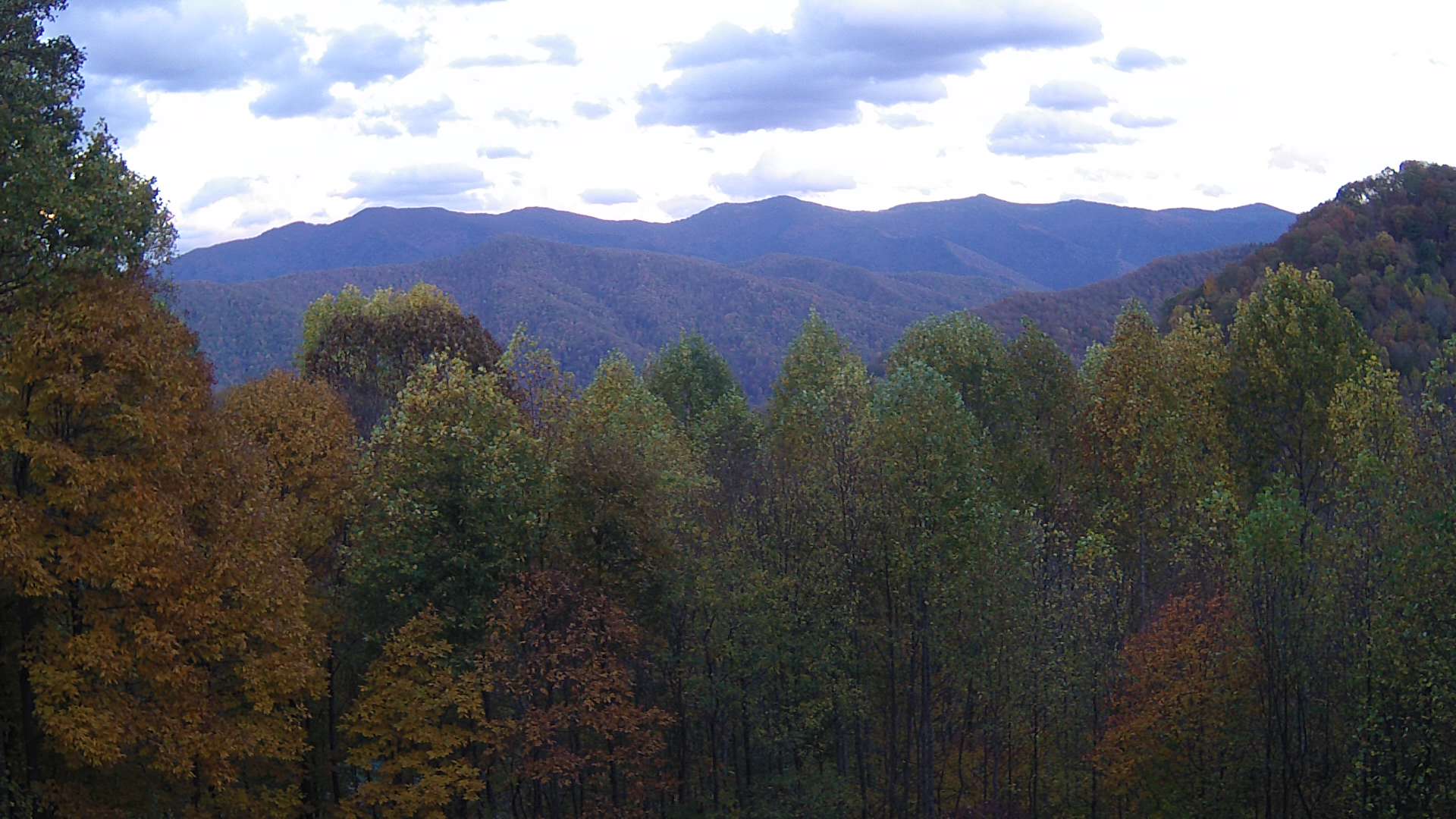 click for next image... slideshow image