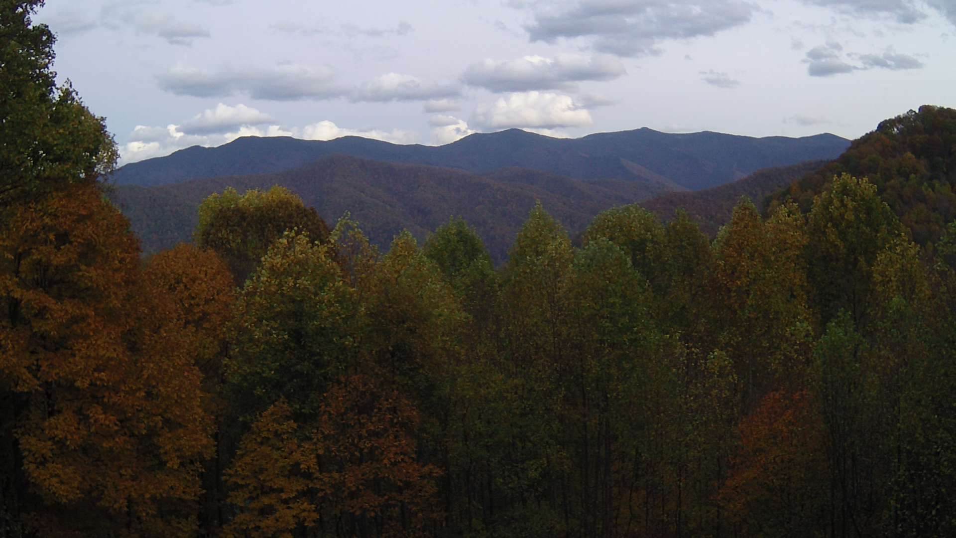 click for next image... slideshow image