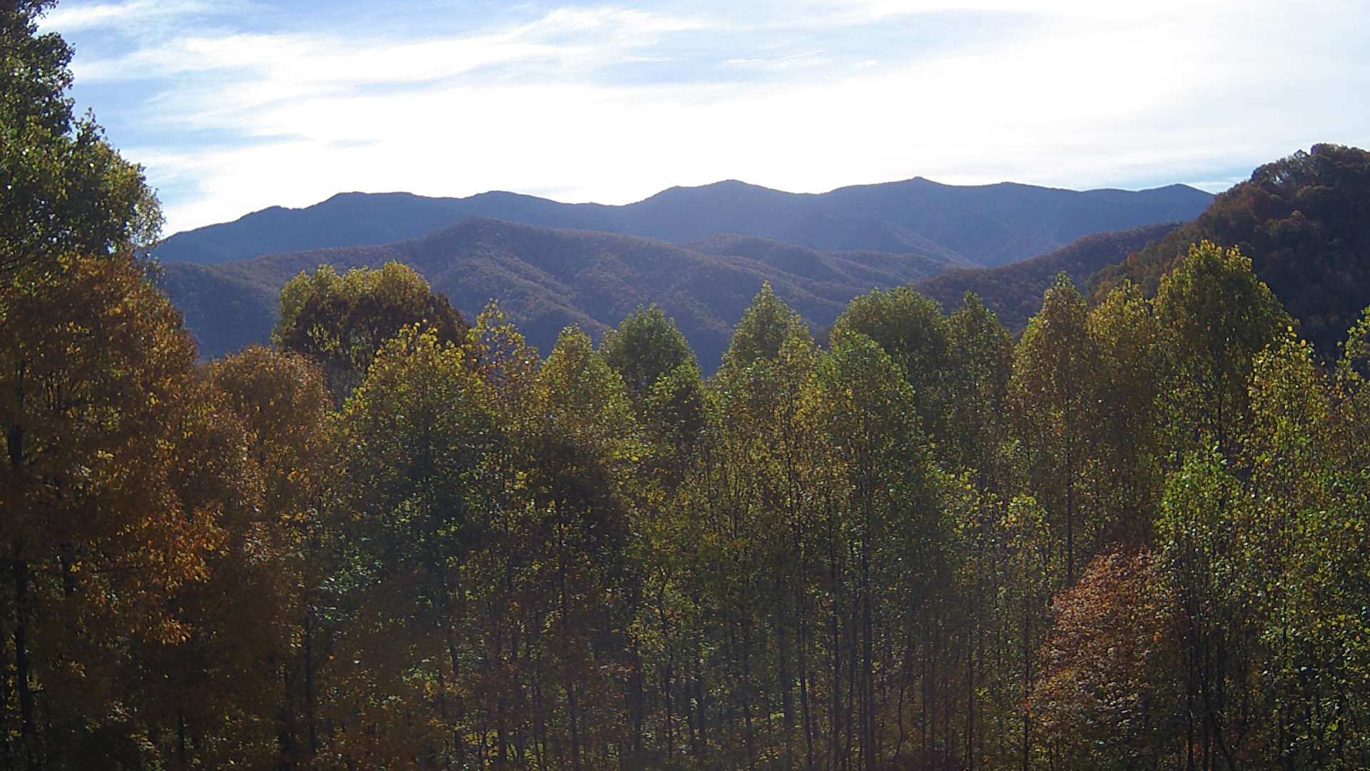 click for next image... slideshow image