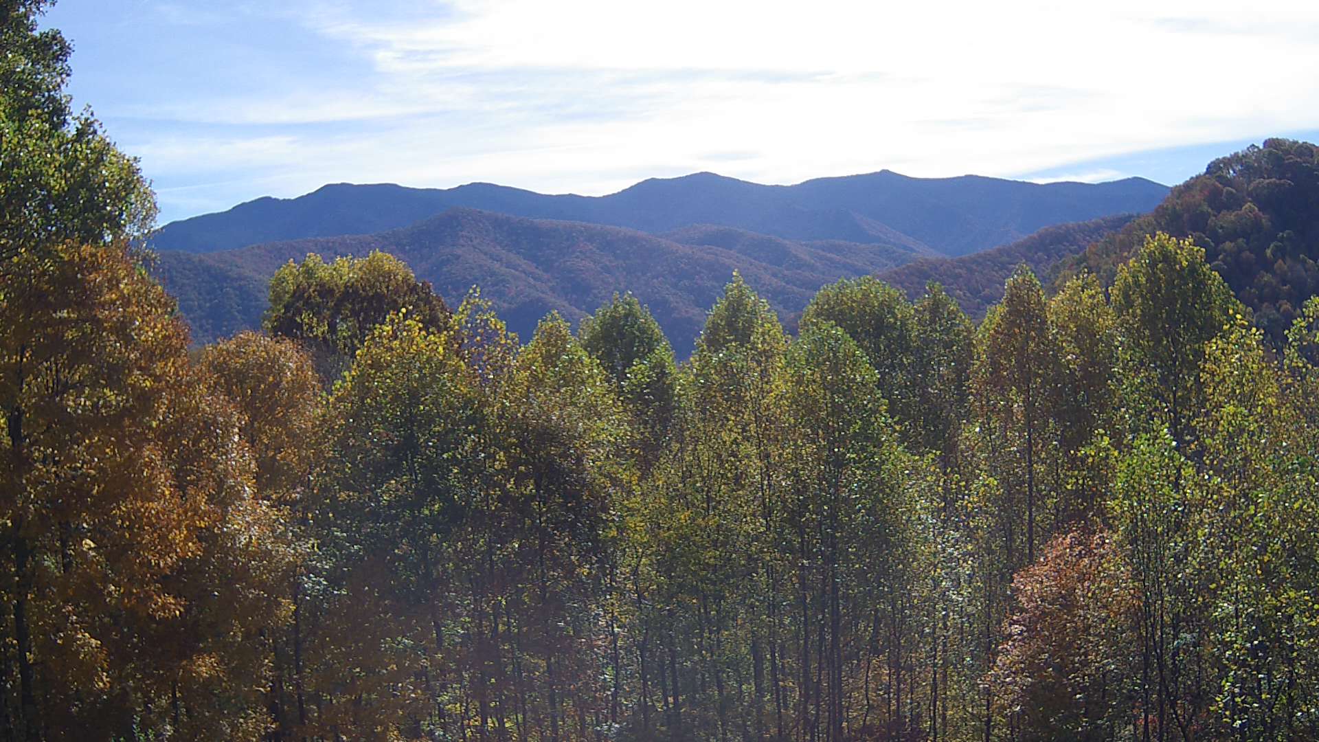 click for next image... slideshow image