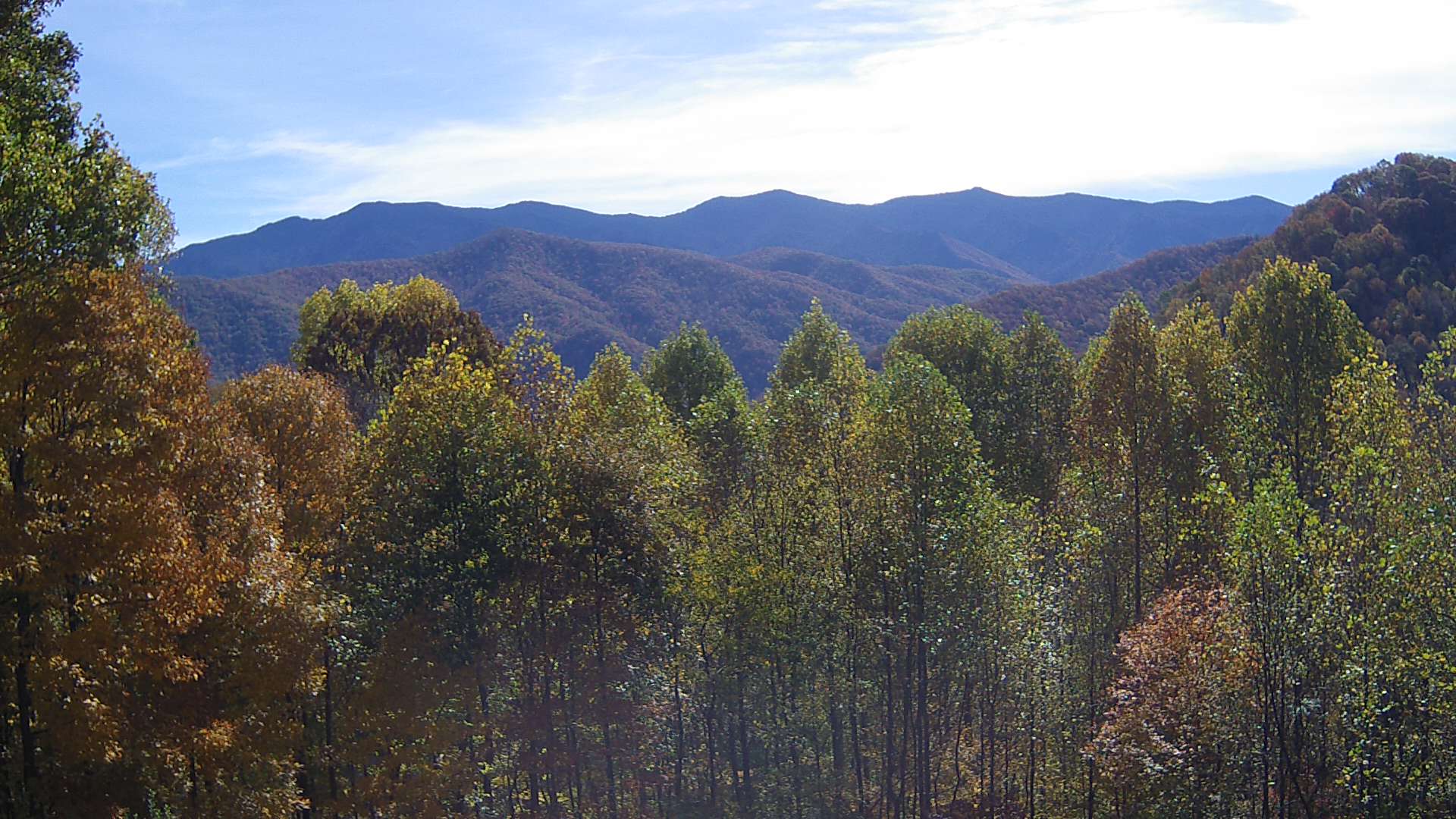 click for next image... slideshow image