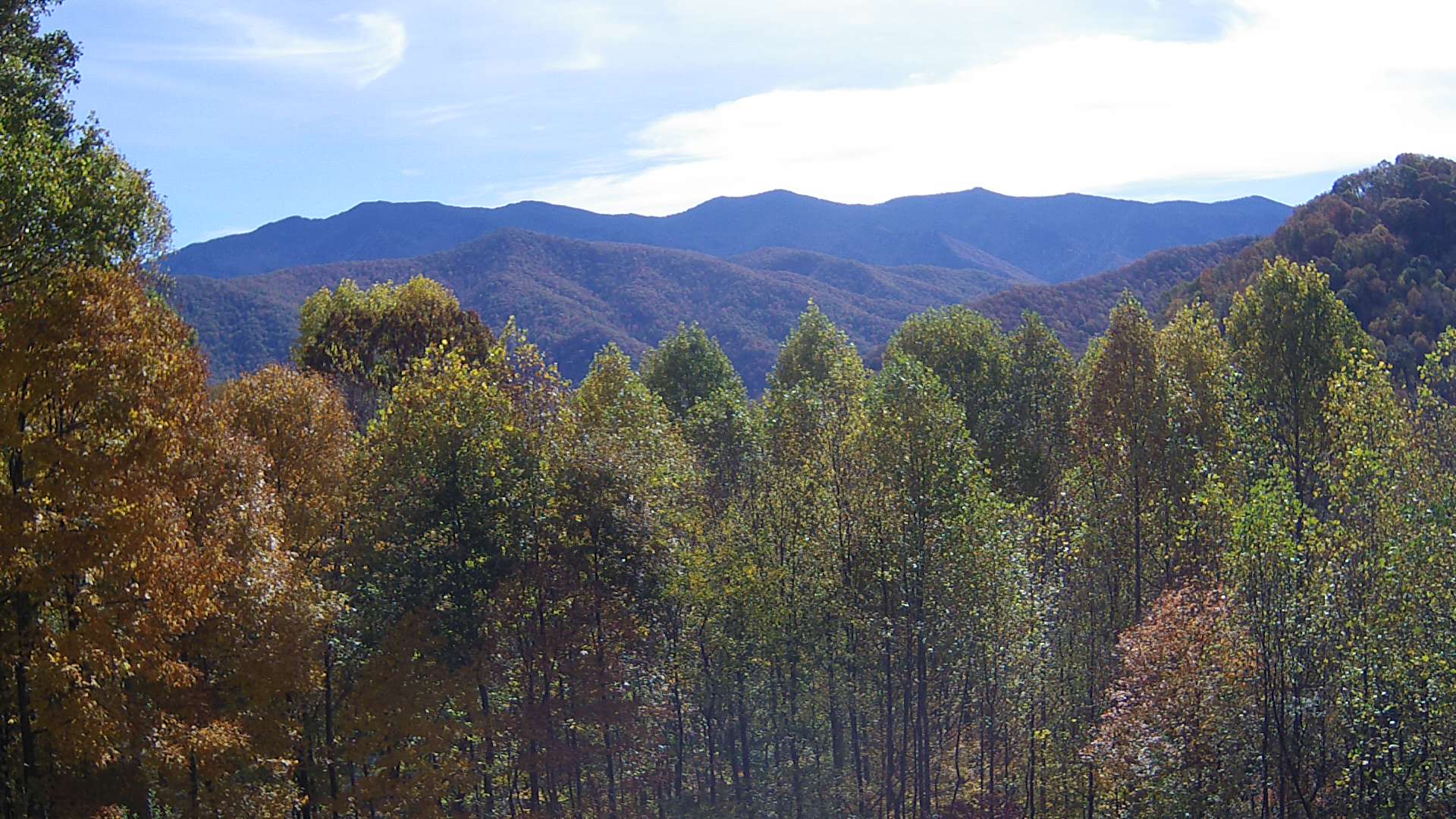 click for next image... slideshow image