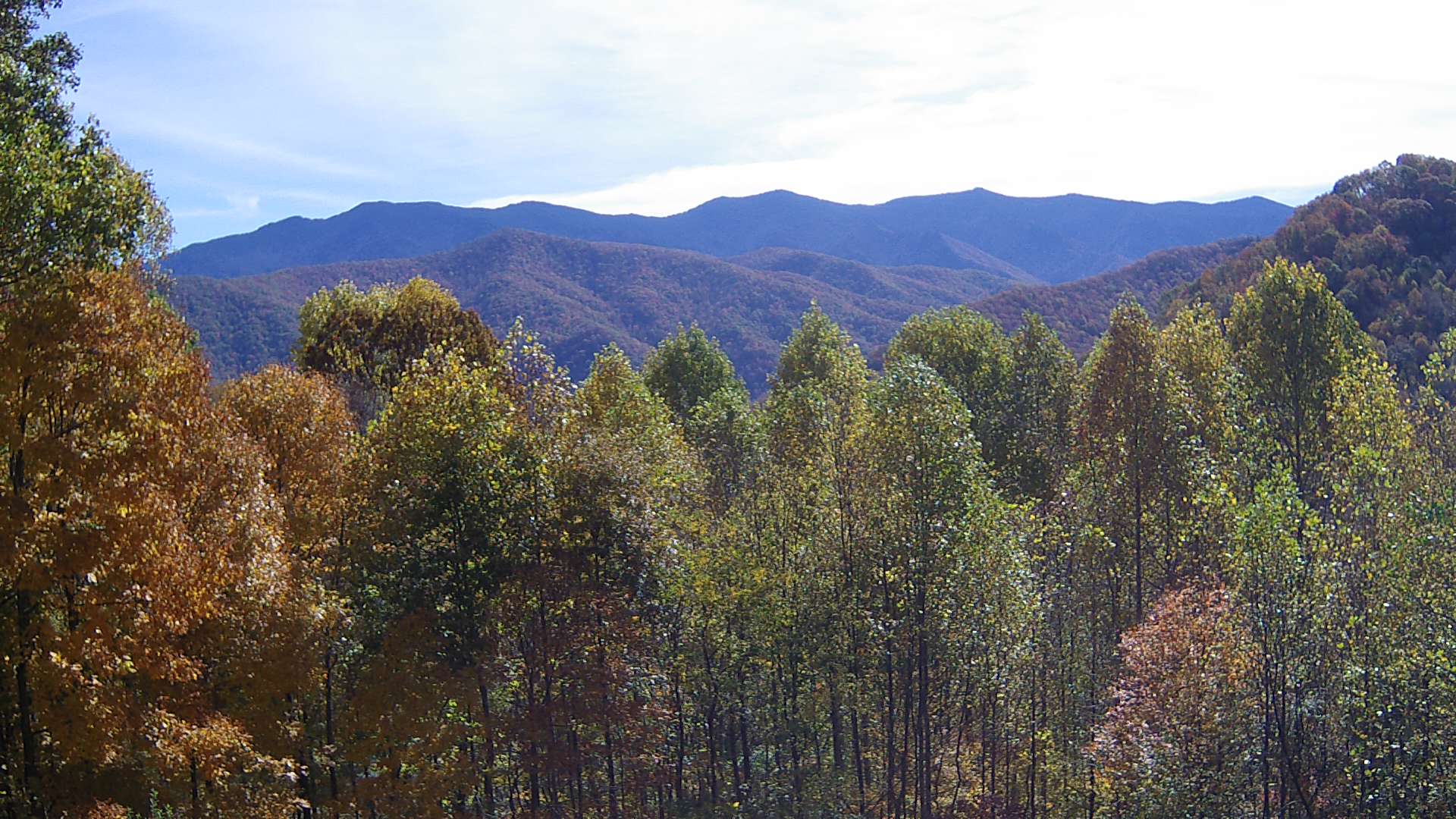 click for next image... slideshow image