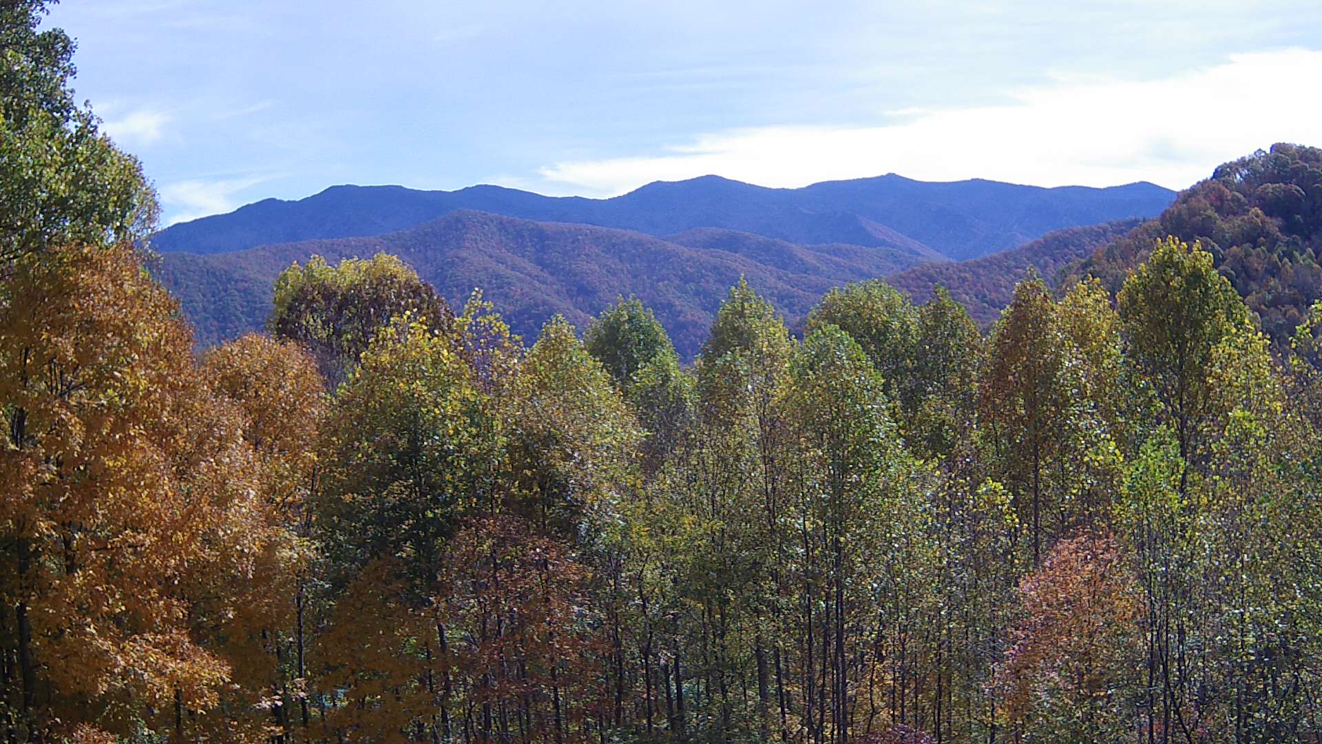 click for next image... slideshow image