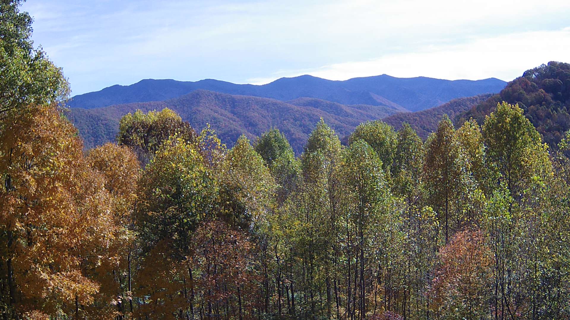 click for next image... slideshow image