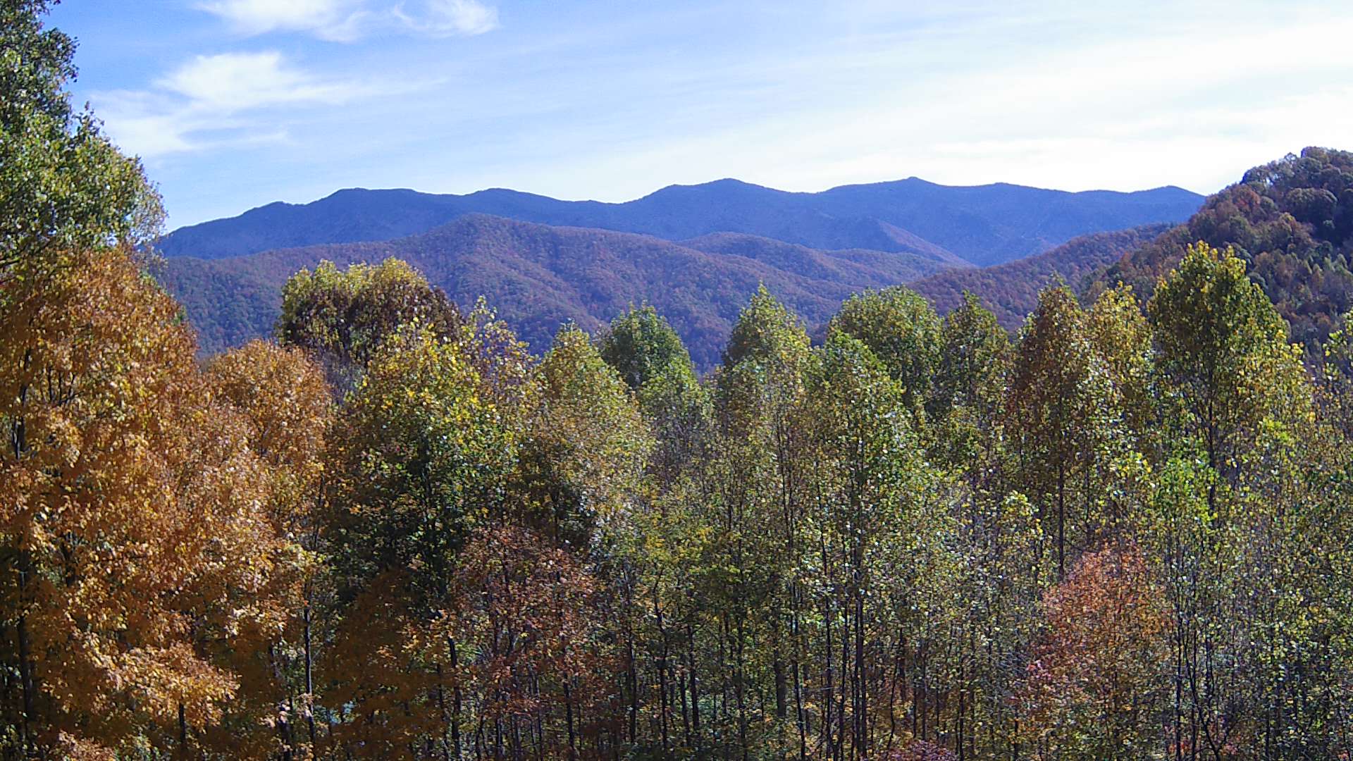 click for next image... slideshow image