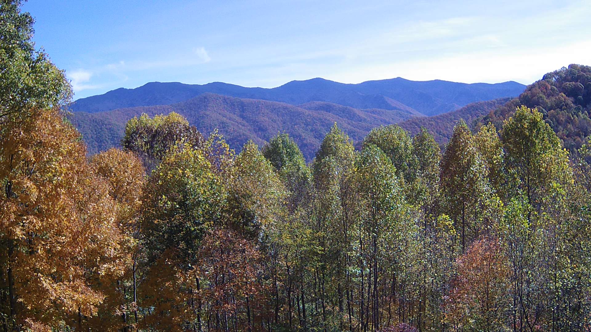 click for next image... slideshow image