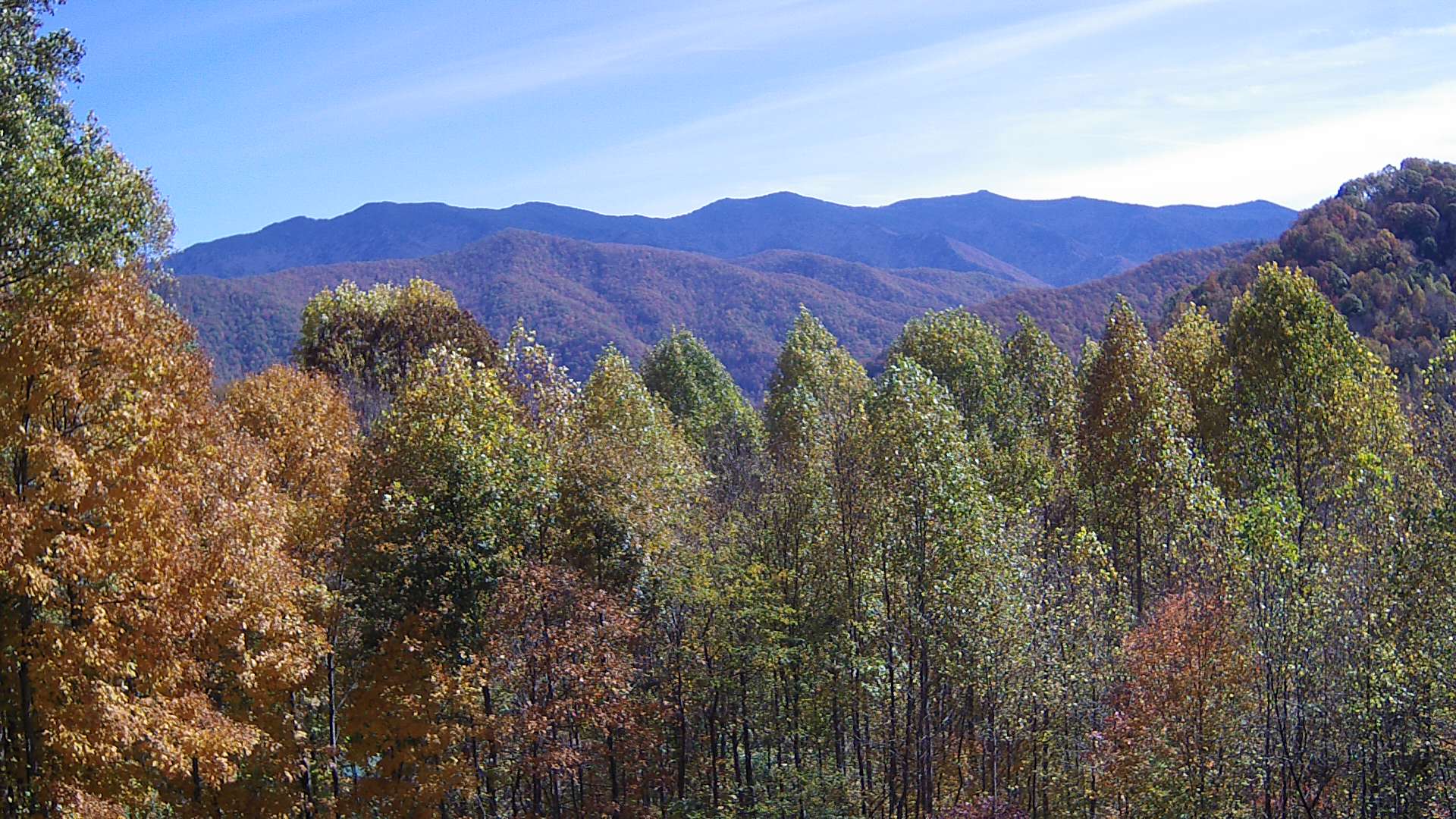 click for next image... slideshow image