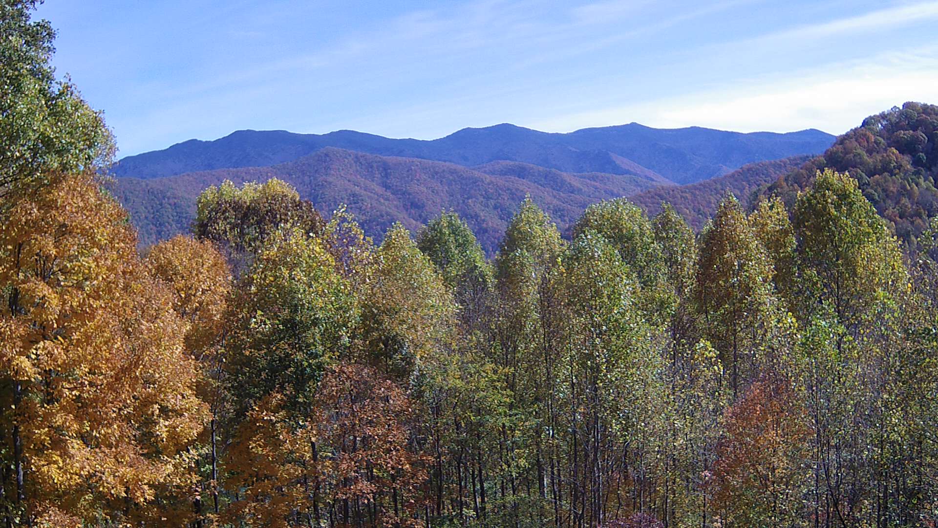 click for next image... slideshow image