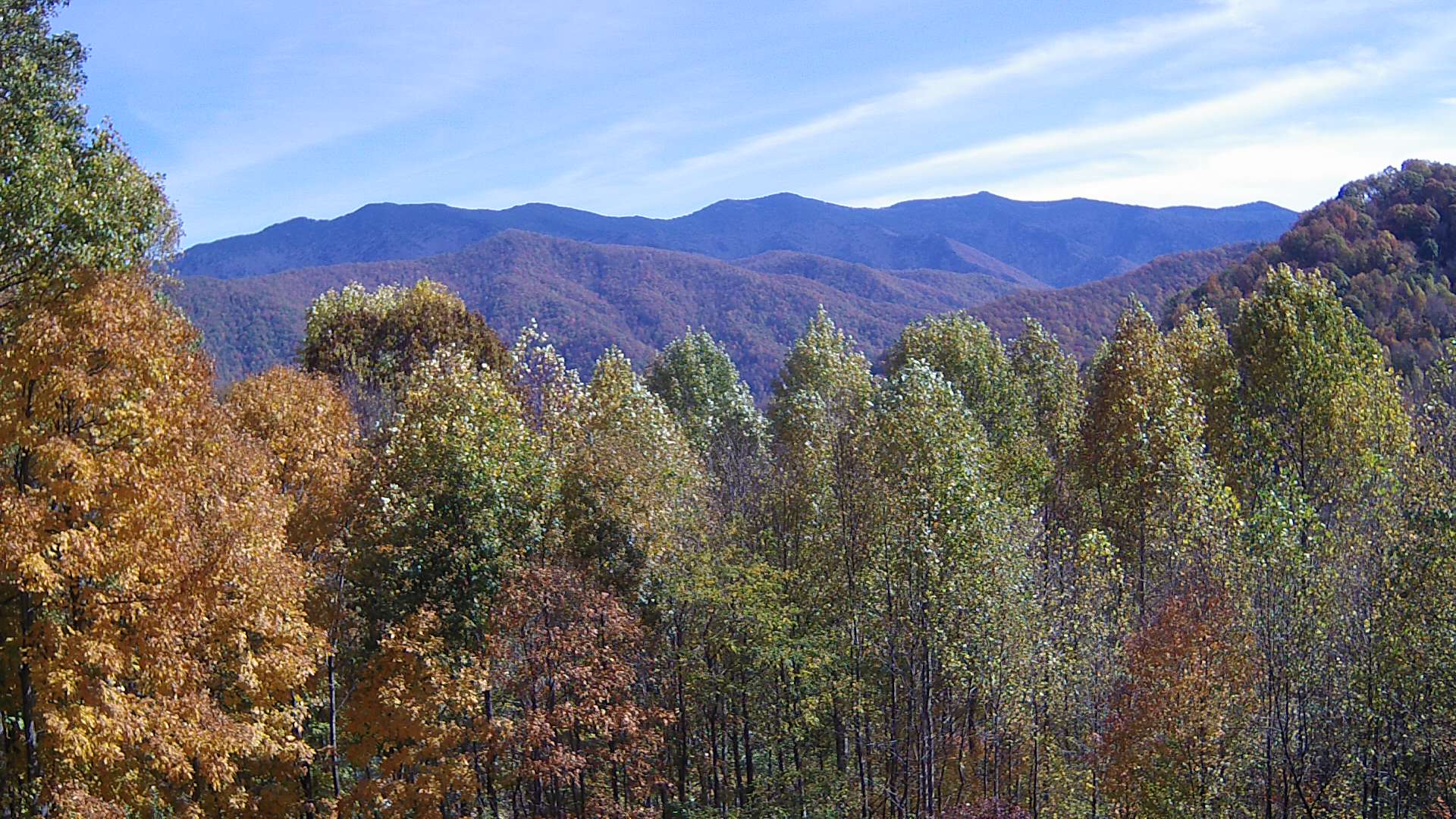 click for next image... slideshow image