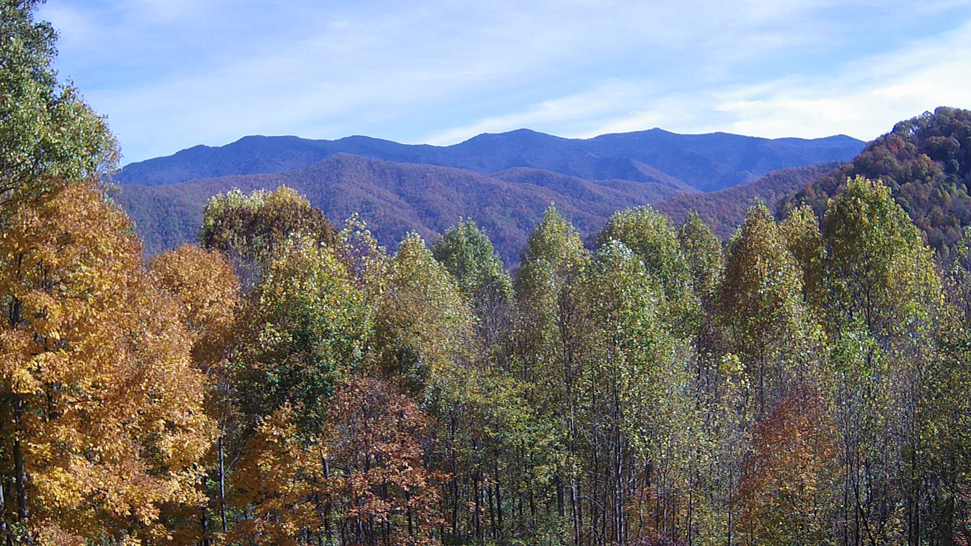 click for next image... slideshow image