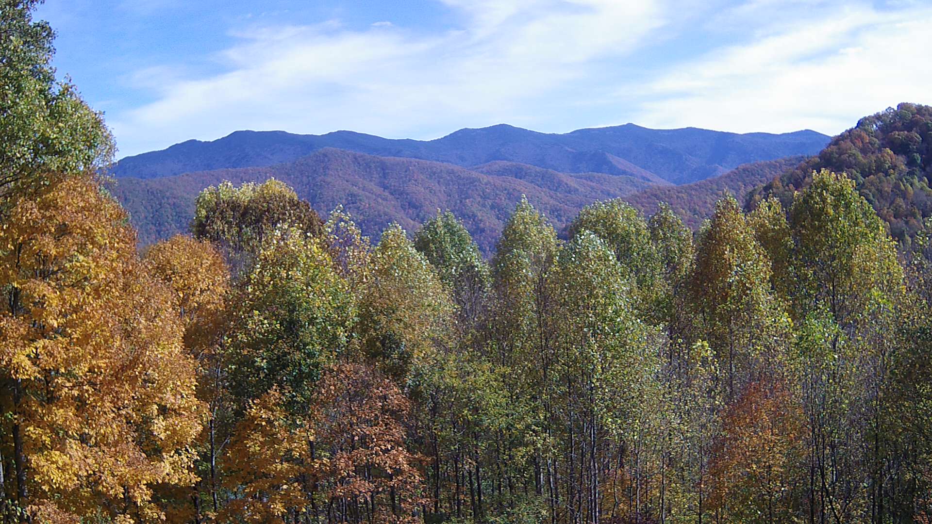 click for next image... slideshow image