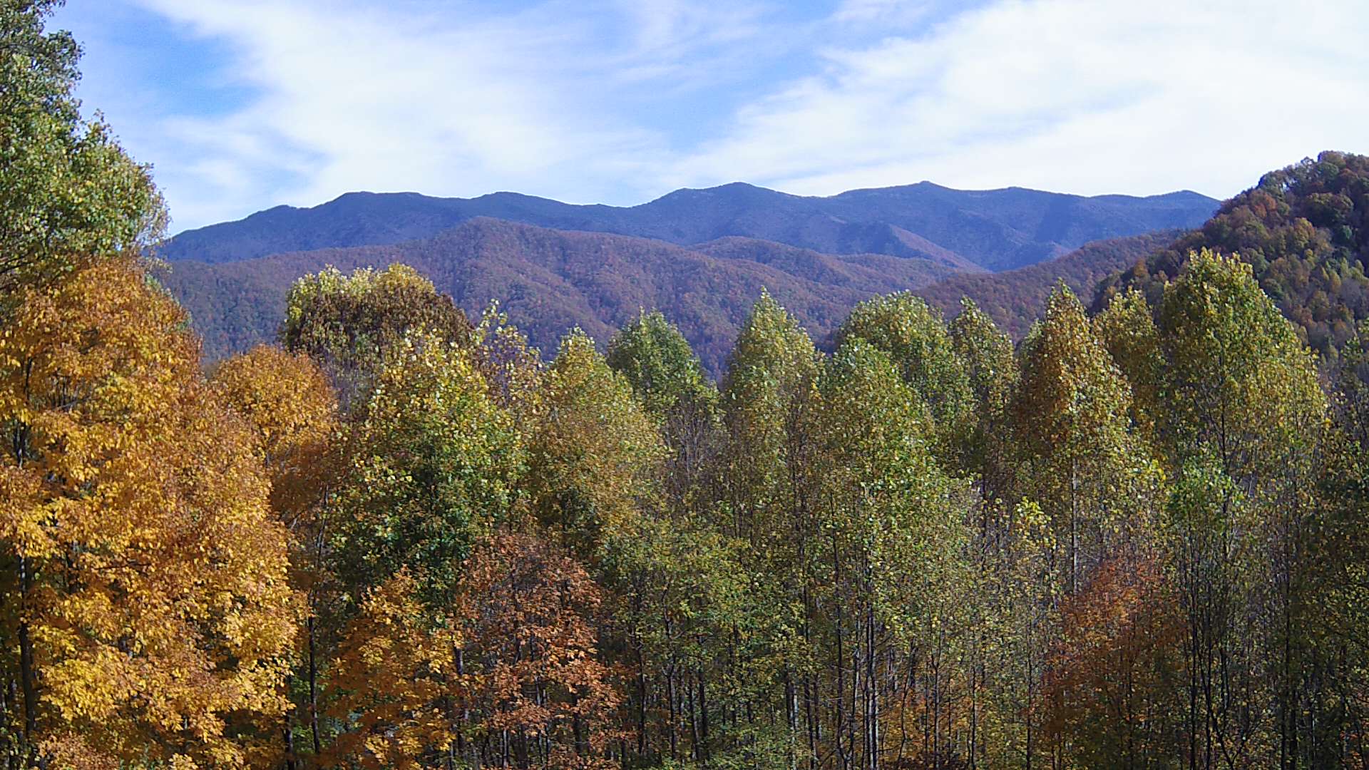 click for next image... slideshow image