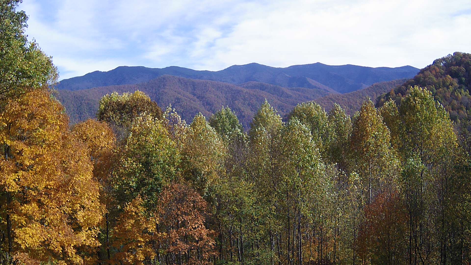 click for next image... slideshow image