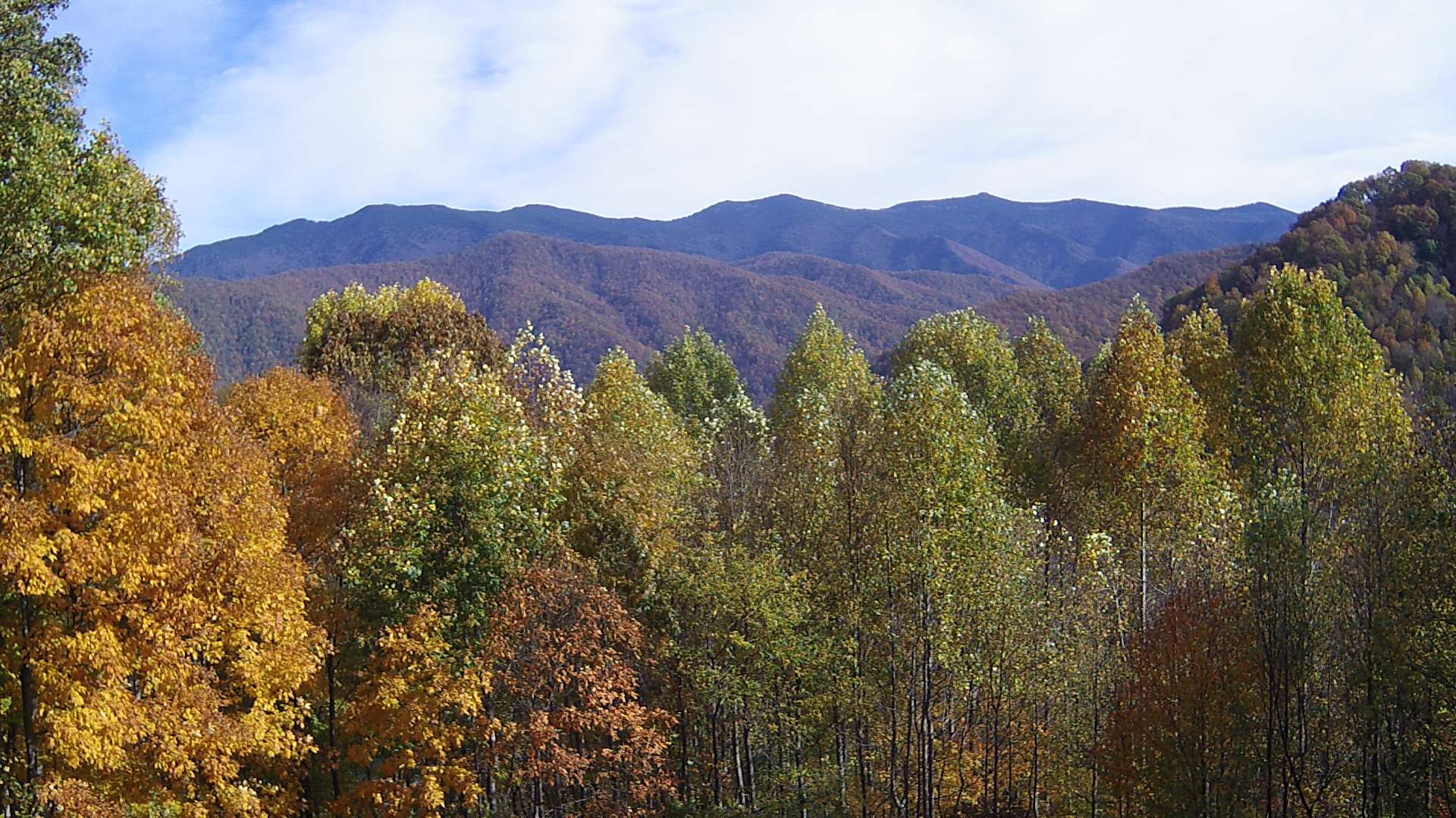 click for next image... slideshow image