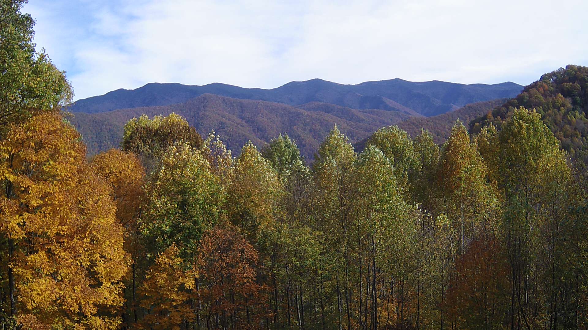 click for next image... slideshow image