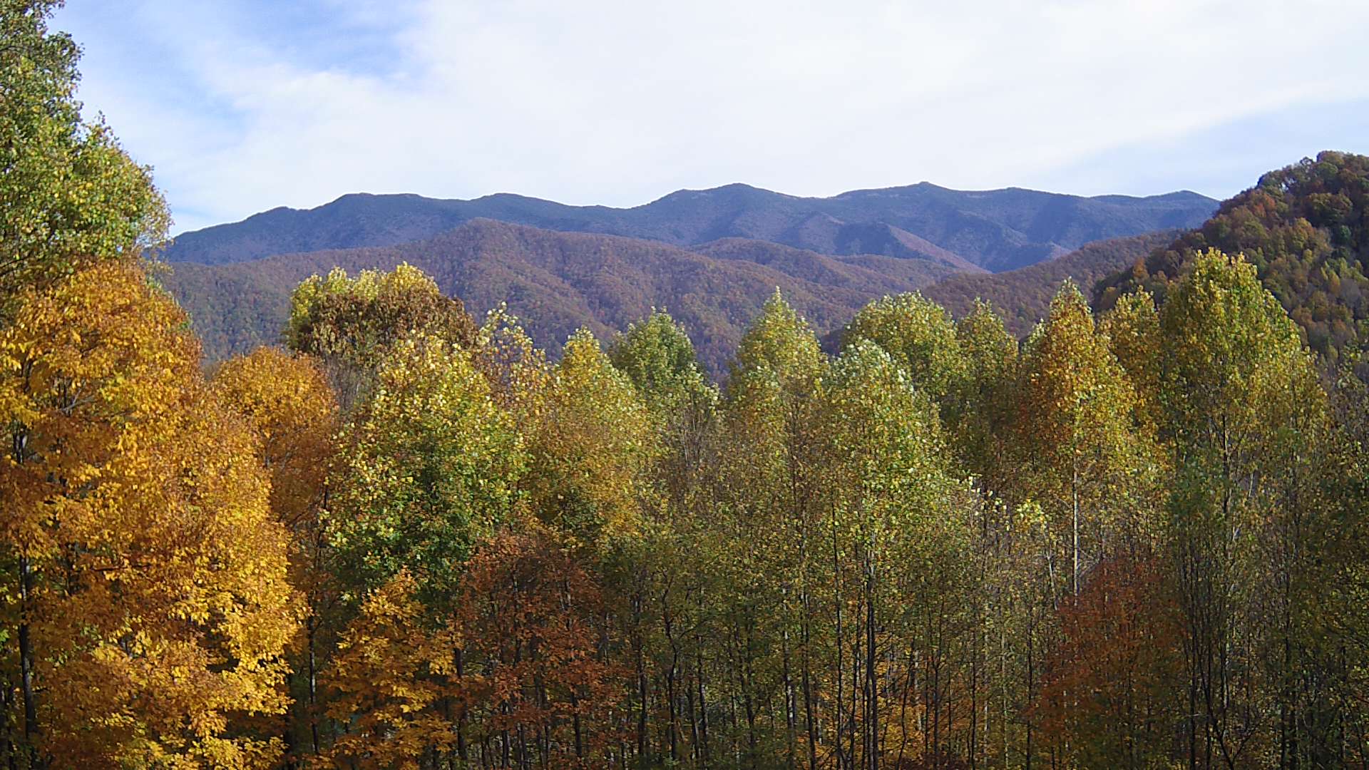 click for next image... slideshow image