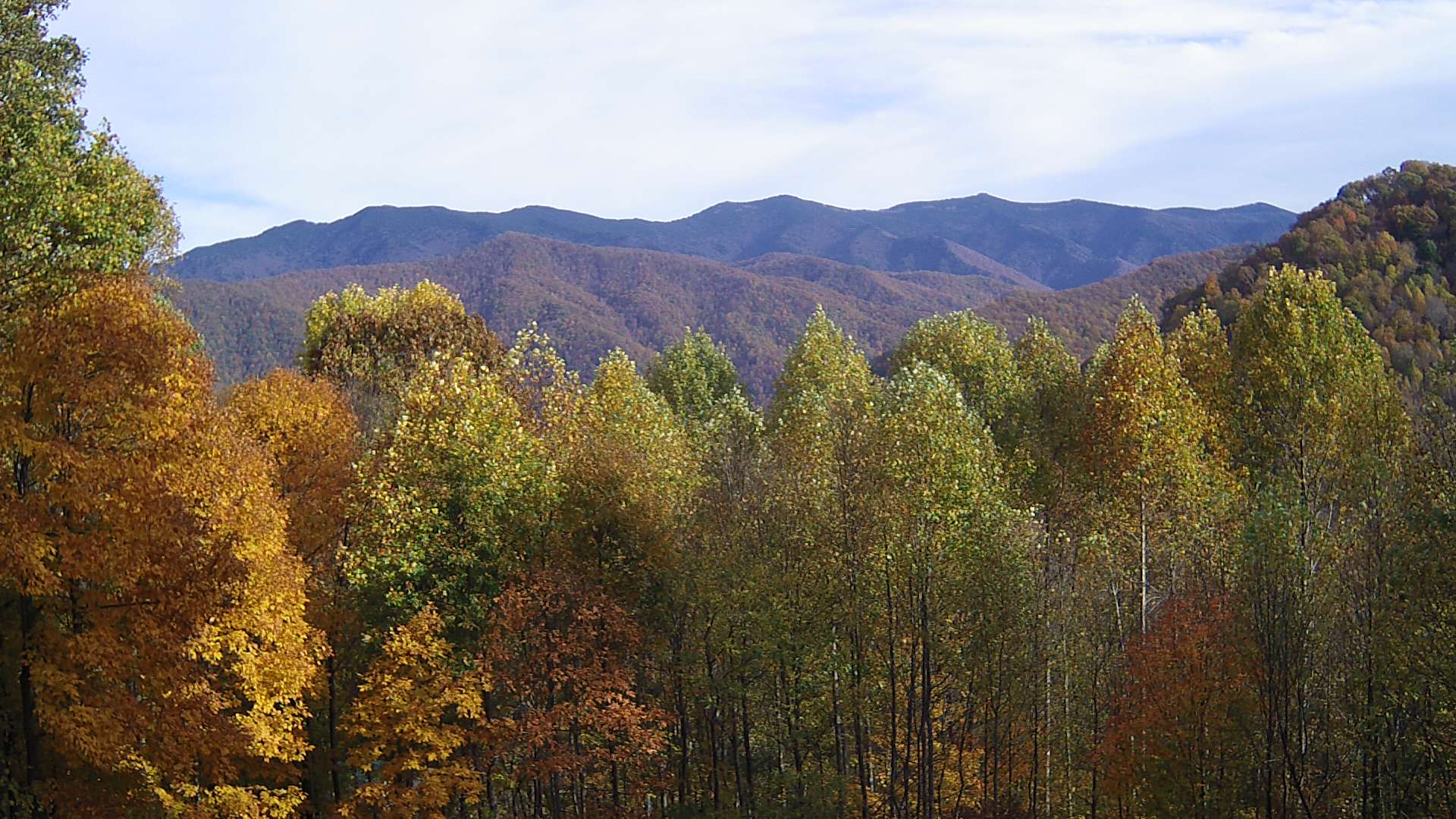 click for next image... slideshow image