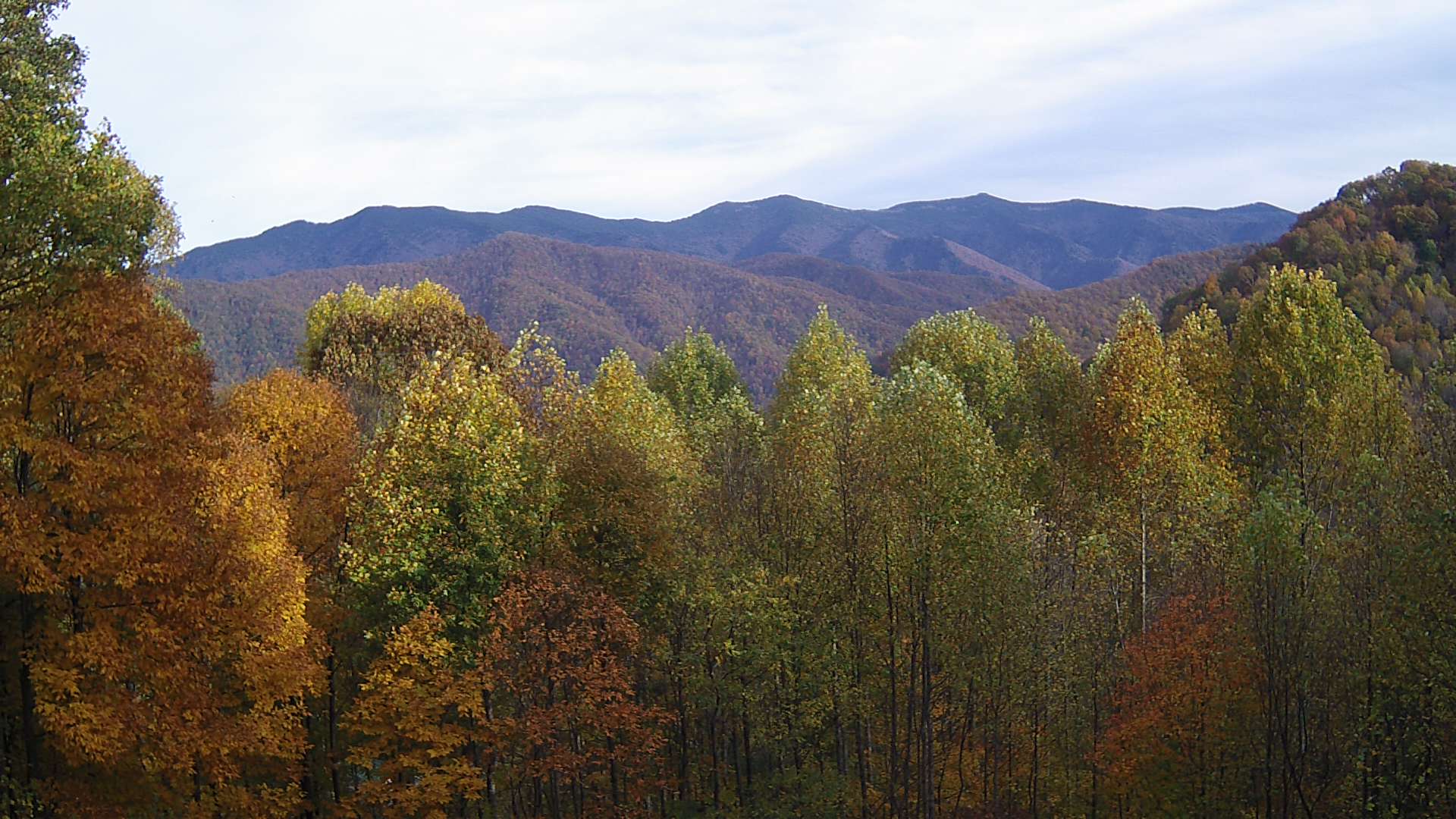 click for next image... slideshow image