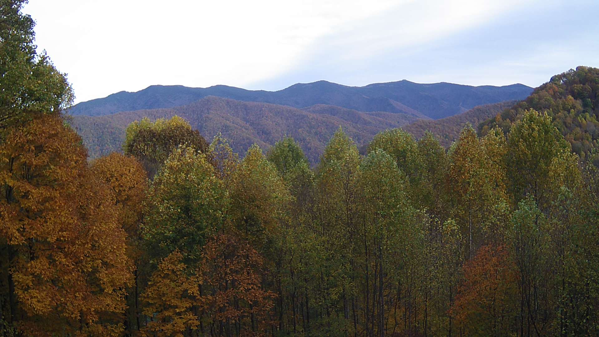 click for next image... slideshow image