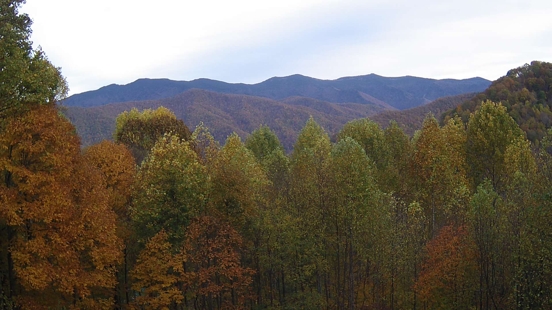 click for next image... slideshow image