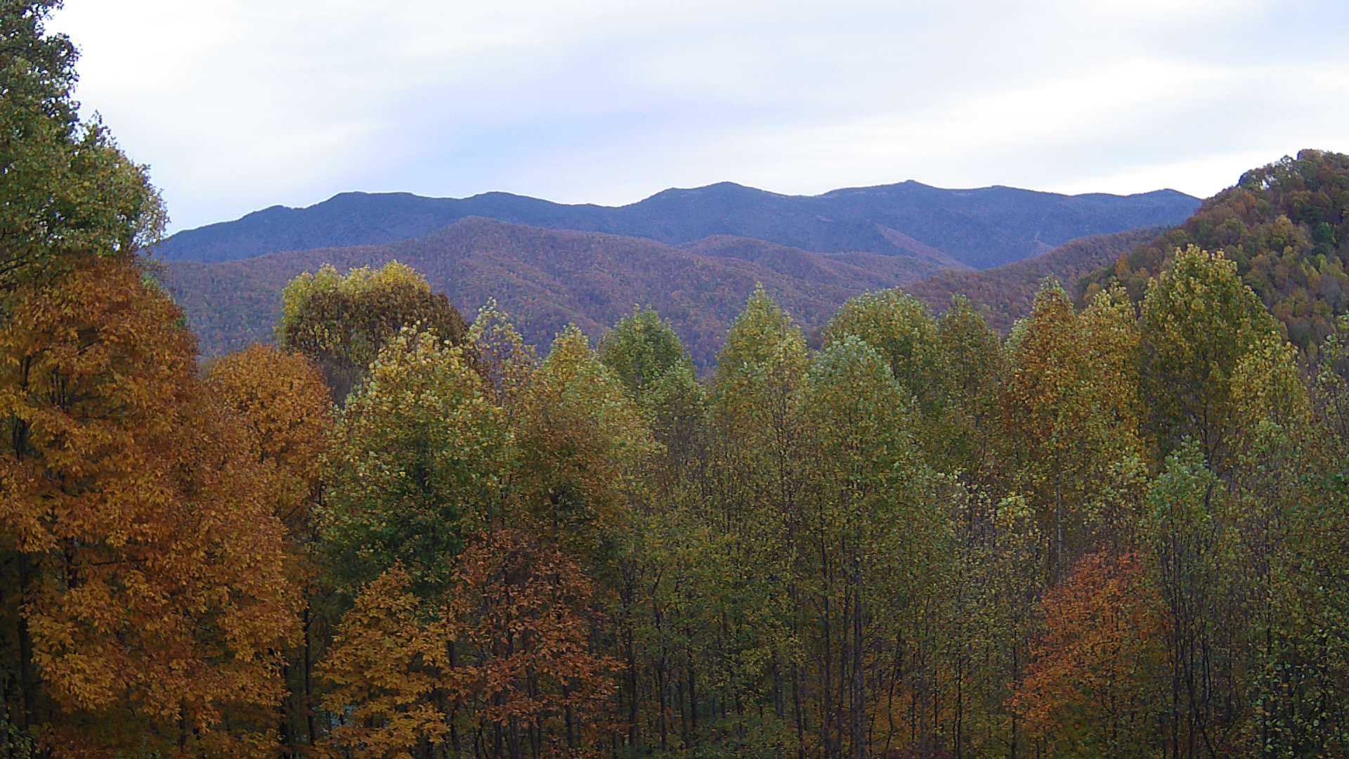 click for next image... slideshow image