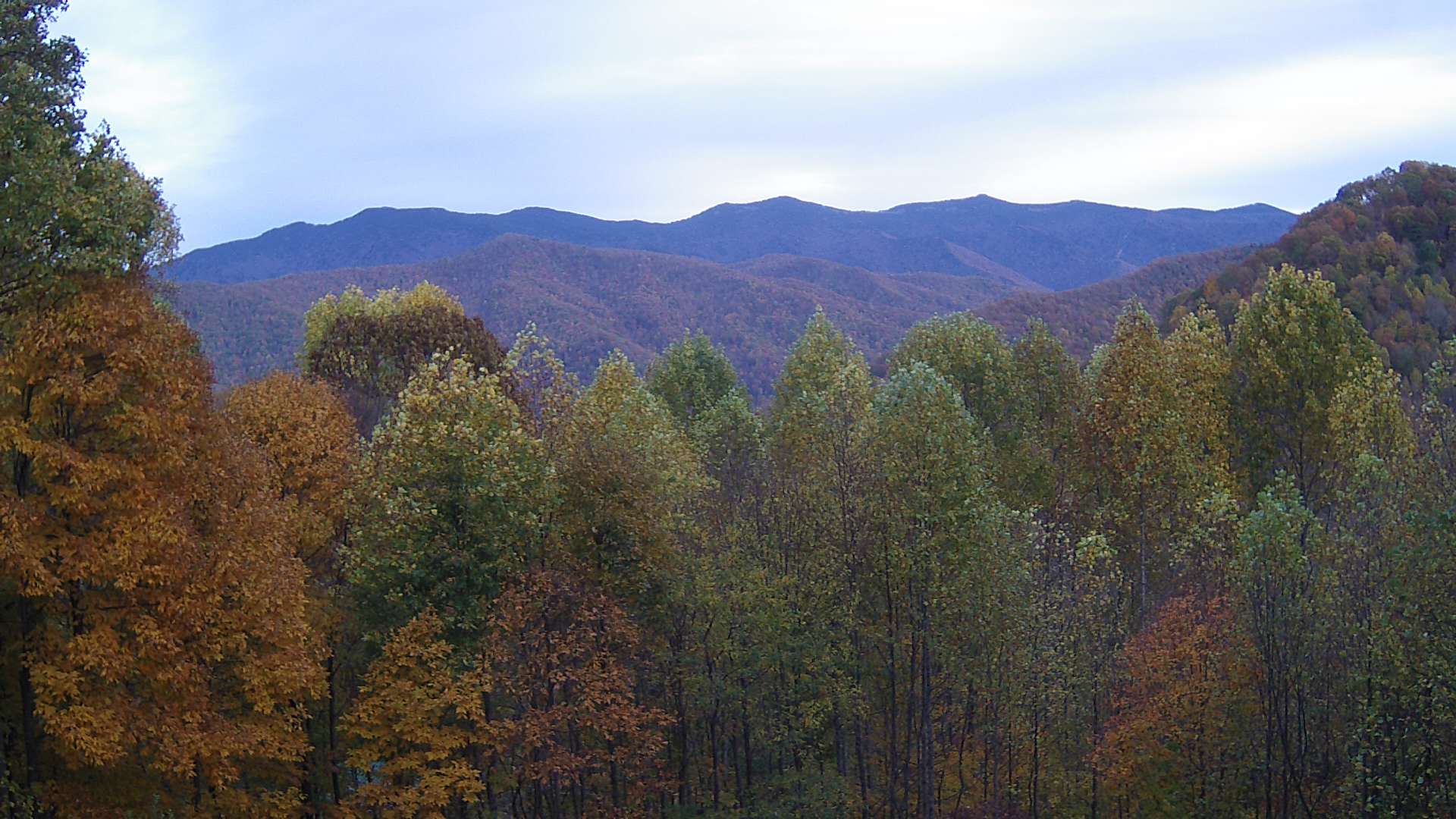 click for next image... slideshow image