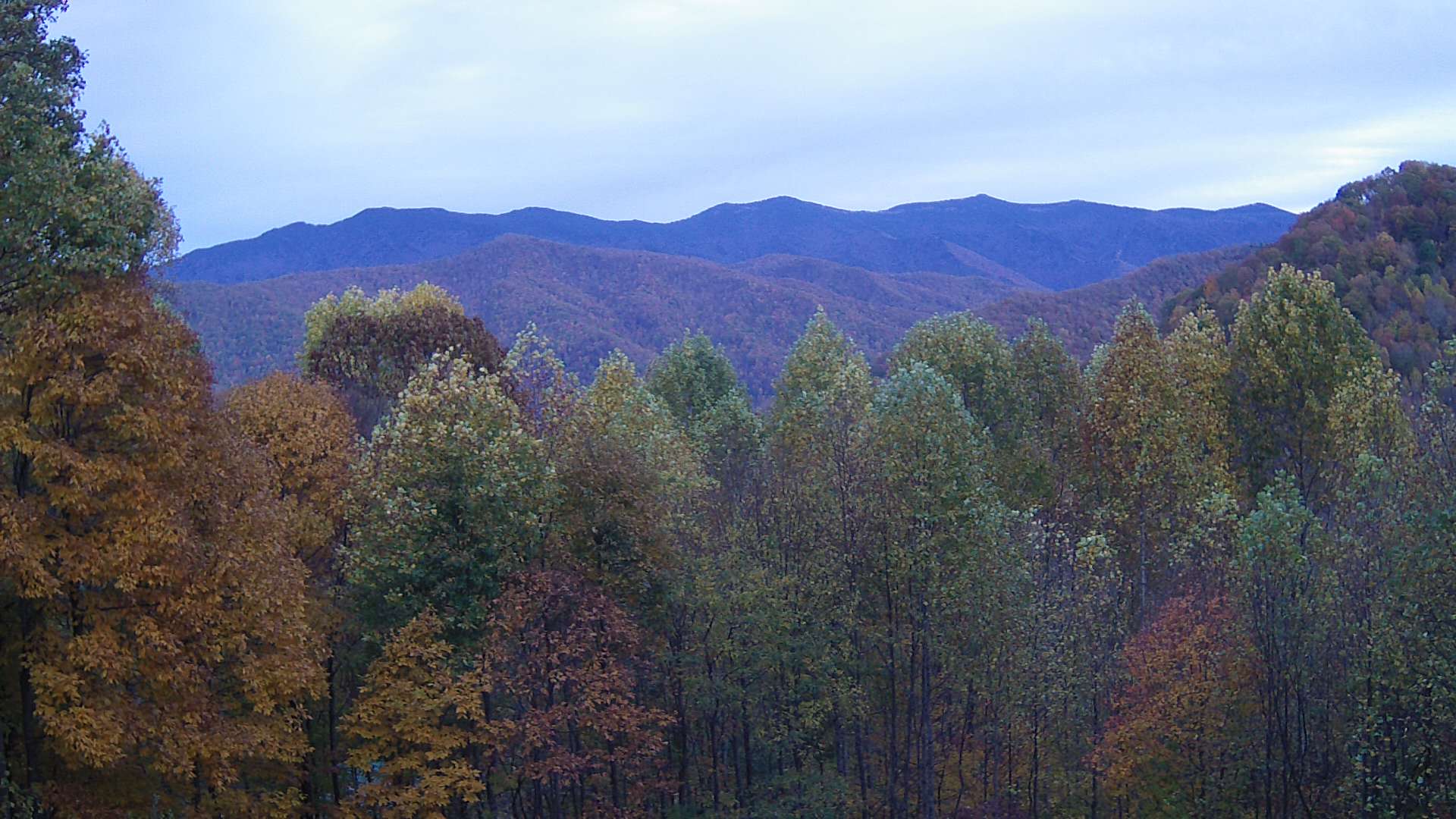 click for next image... slideshow image