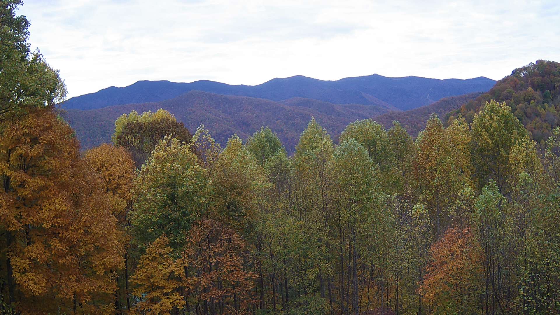 click for next image... slideshow image